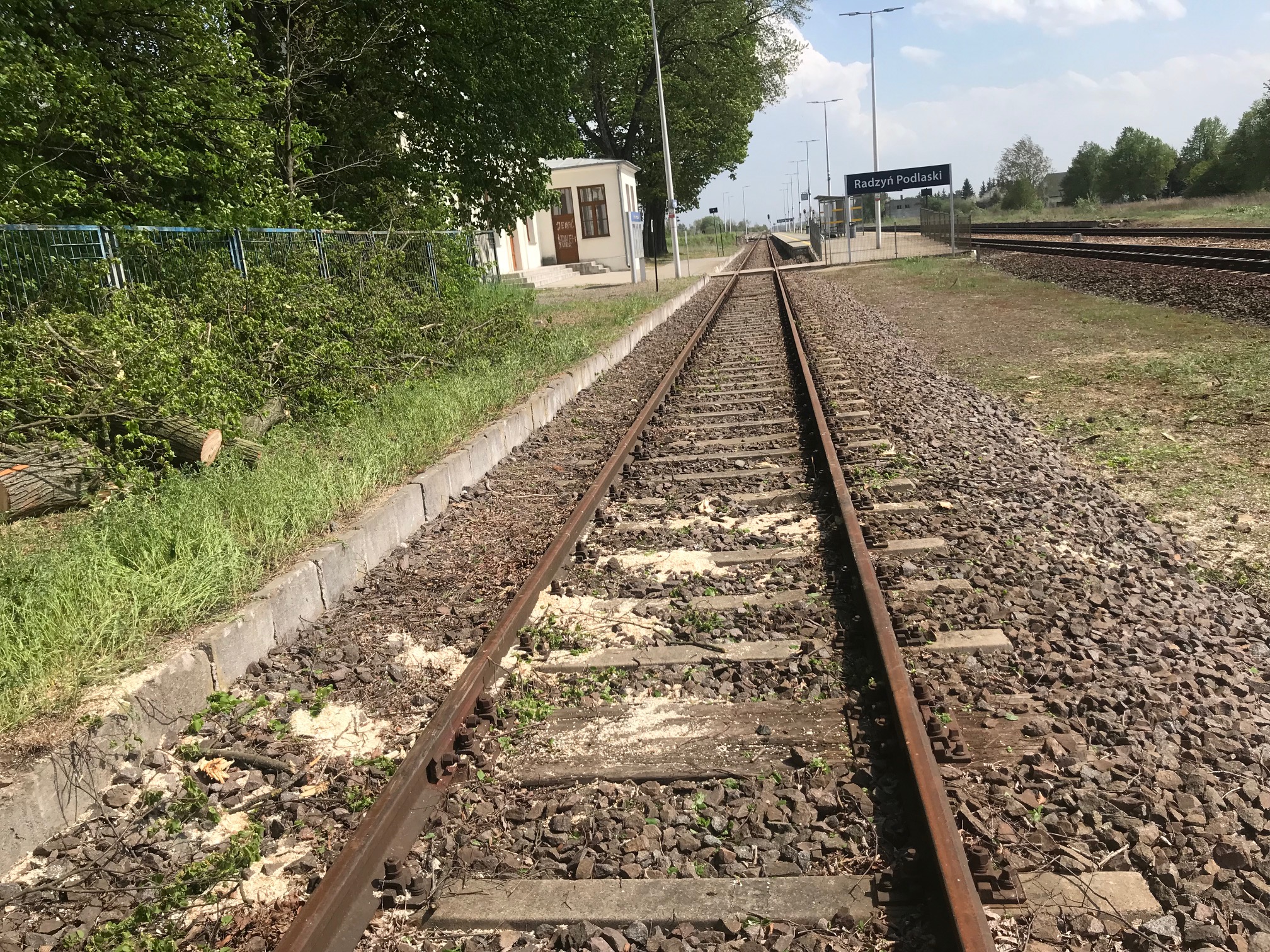 Silny wiatr daje się we znaki strażakom. Doszło do pożaru lasu oraz zatarasowania torów kolejowych (zdjęcia)