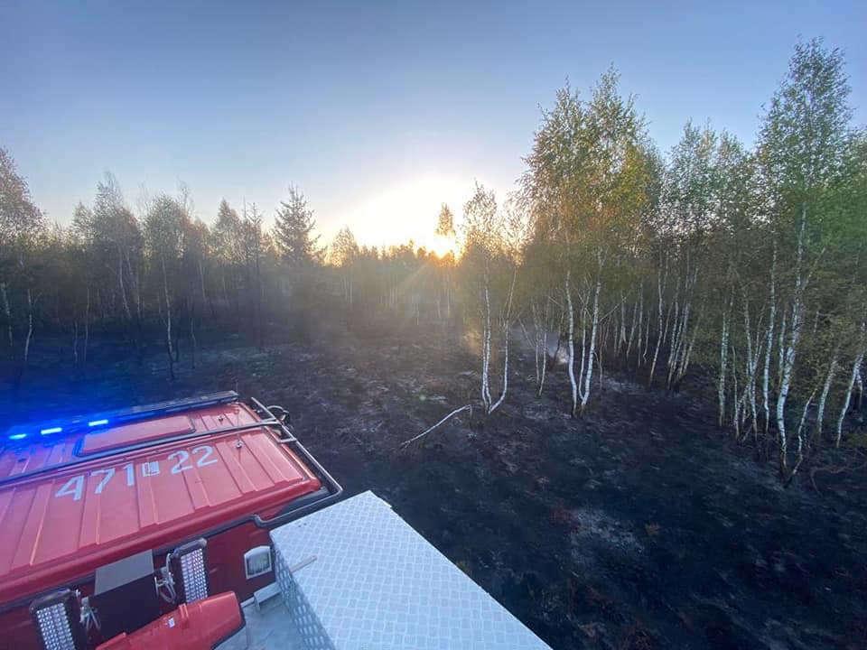 Strażacy walczyli z dużym pożarem lasu. 14 zastępów straży pożarnej w akcji (zdjęcia)