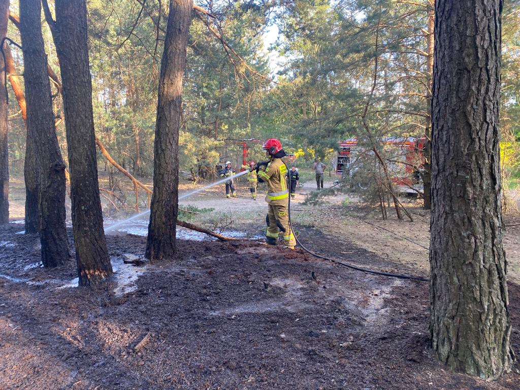 Strażacy gasili kolejny pożar lasu. Apel o rozwagę i ostrożność podczas przebywania na terenach leśnych (zdjęcia)