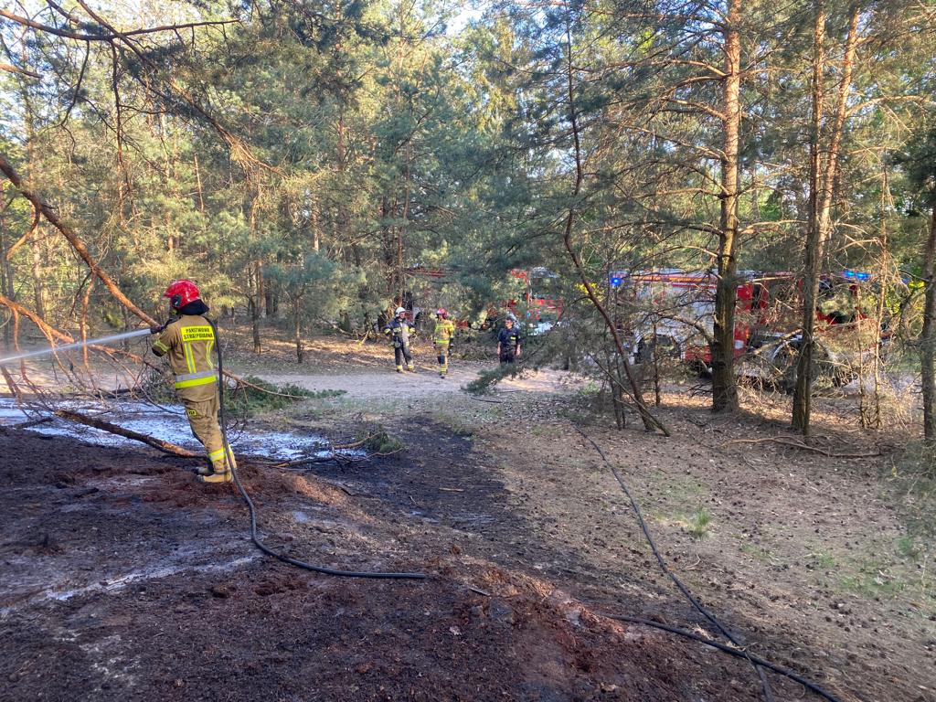 Strażacy gasili kolejny pożar lasu. Apel o rozwagę i ostrożność podczas przebywania na terenach leśnych (zdjęcia)