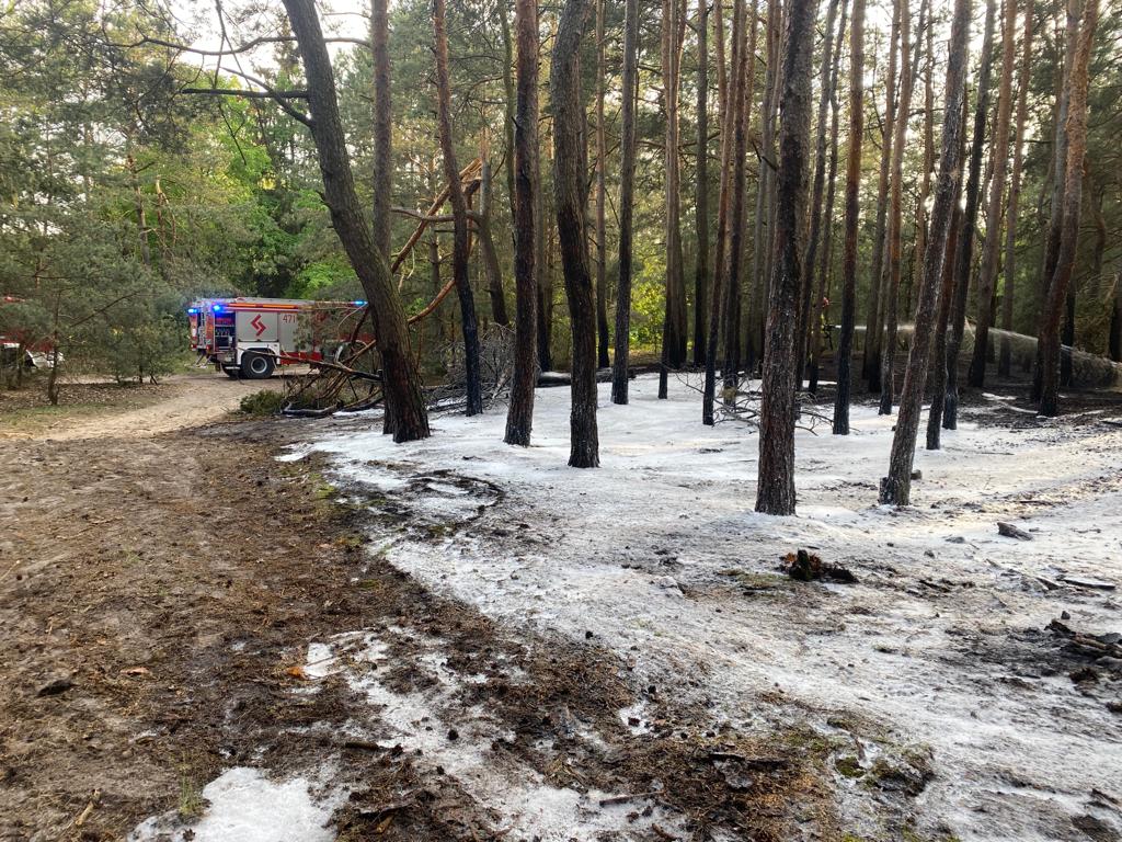 Strażacy gasili kolejny pożar lasu. Apel o rozwagę i ostrożność podczas przebywania na terenach leśnych (zdjęcia)