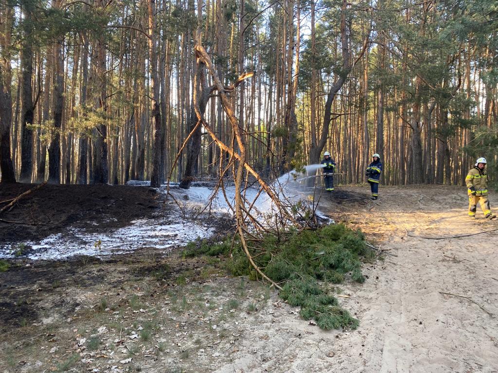 Strażacy gasili kolejny pożar lasu. Apel o rozwagę i ostrożność podczas przebywania na terenach leśnych (zdjęcia)