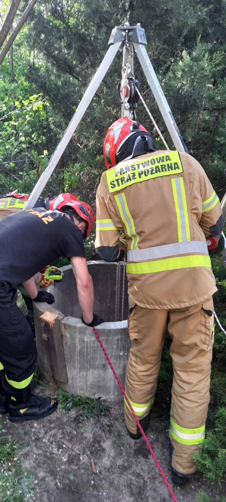 Strażacy uratowali psa znajdującego się w głębokiej studni (zdjęcia)