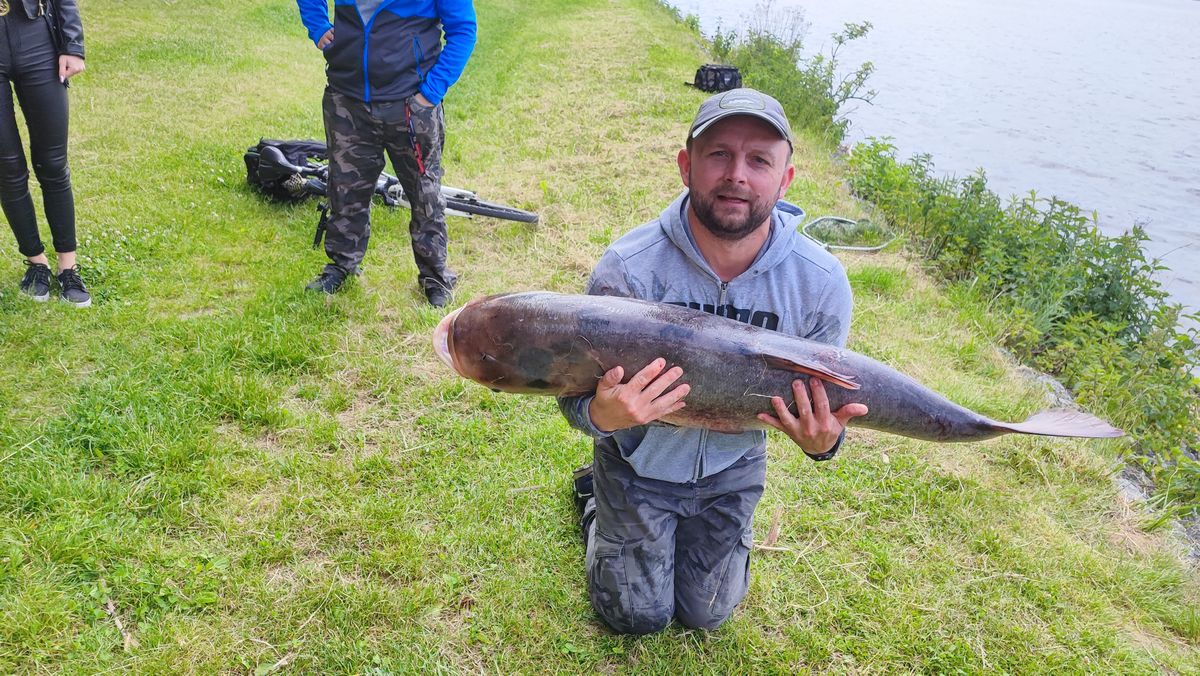 W Zalewie Zemborzyckim złowił gigantyczną tołpygę. Ogromna ryba wróciła do wody (zdjęcia, wideo)