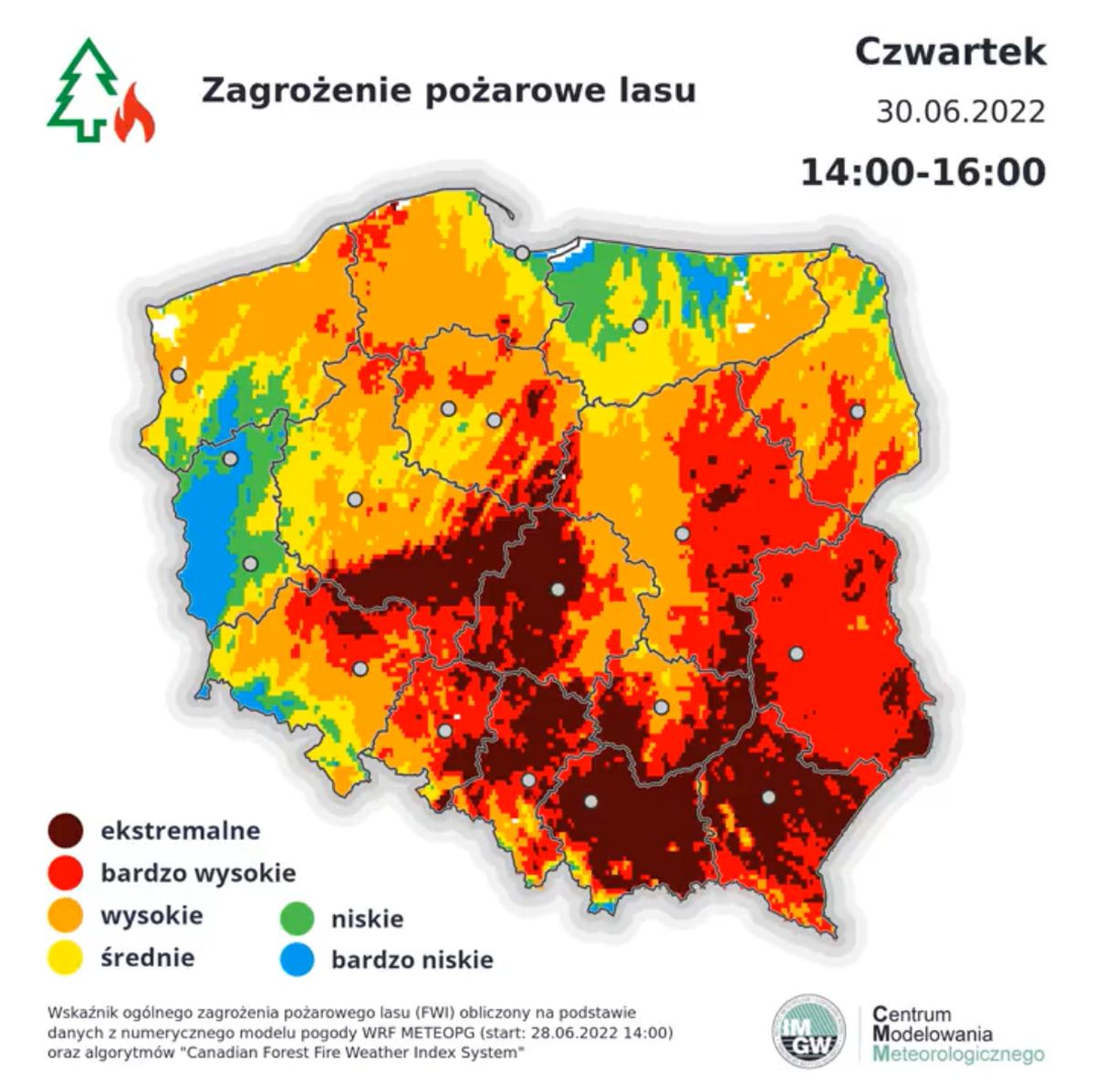 Fatalna sytuacja w lasach Lubelszczyzny. Wszystko wskazuje na to, że będzie jeszcze gorzej
