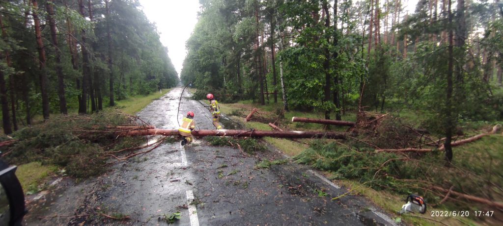 Zerwane dachy i połamane drzewa po nawałnicach nad powiatem parczewskim (zdjęcia)