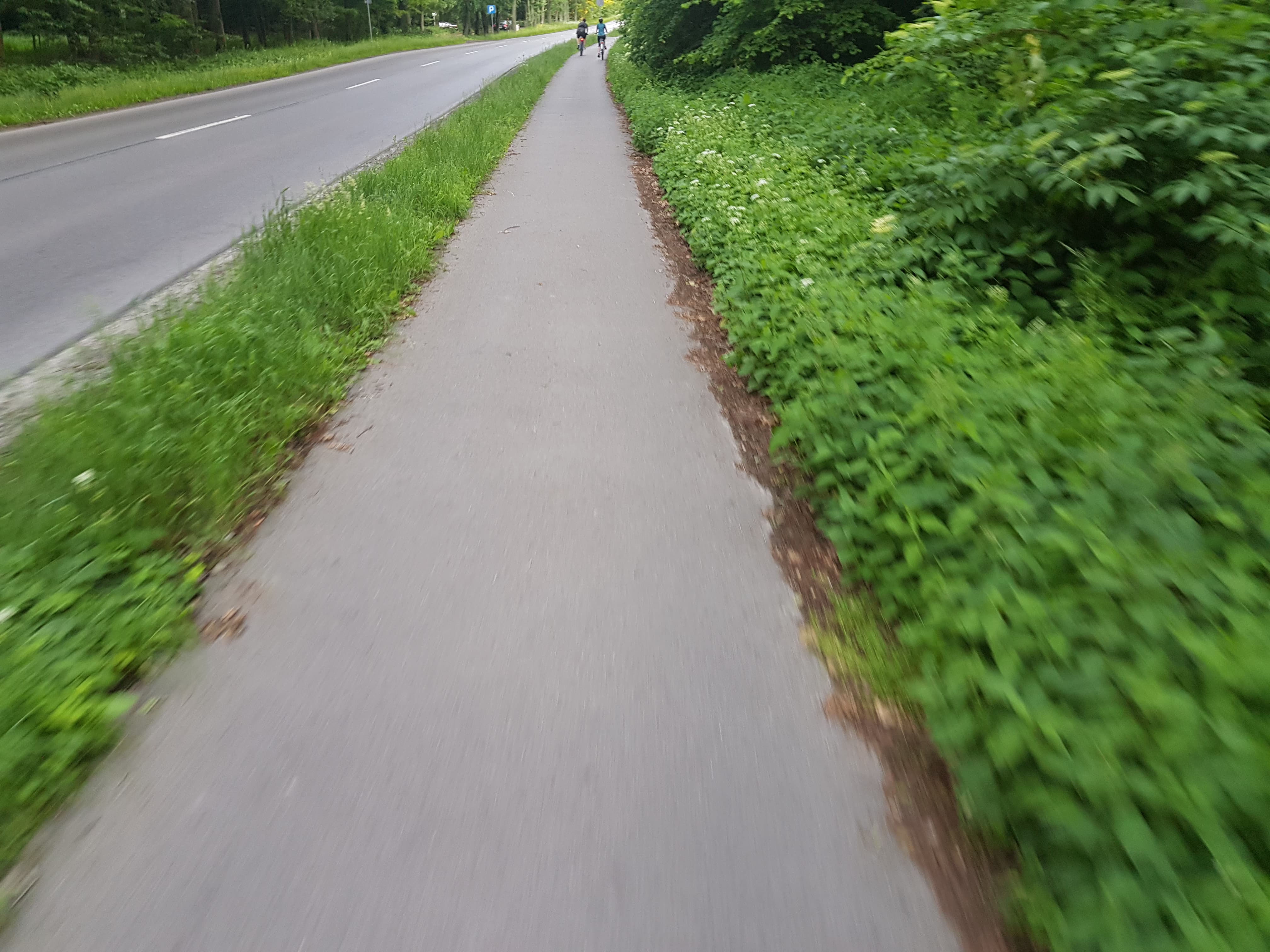 „Pokrzywy mają po 1,5 metra, trudno się bezpiecznie wyminąć na drodze dla rowerzystów” (zdjęcia)
