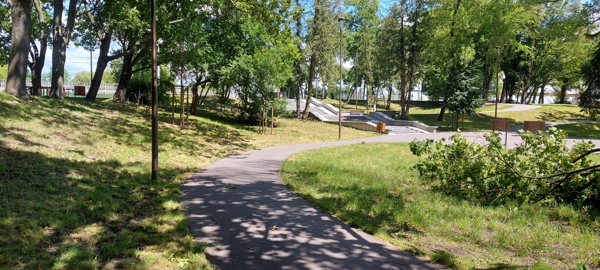 Groźne zdarzenie w Parku Ludowym. Spory konar runął obok spacerowiczów (zdjęcia, wideo)