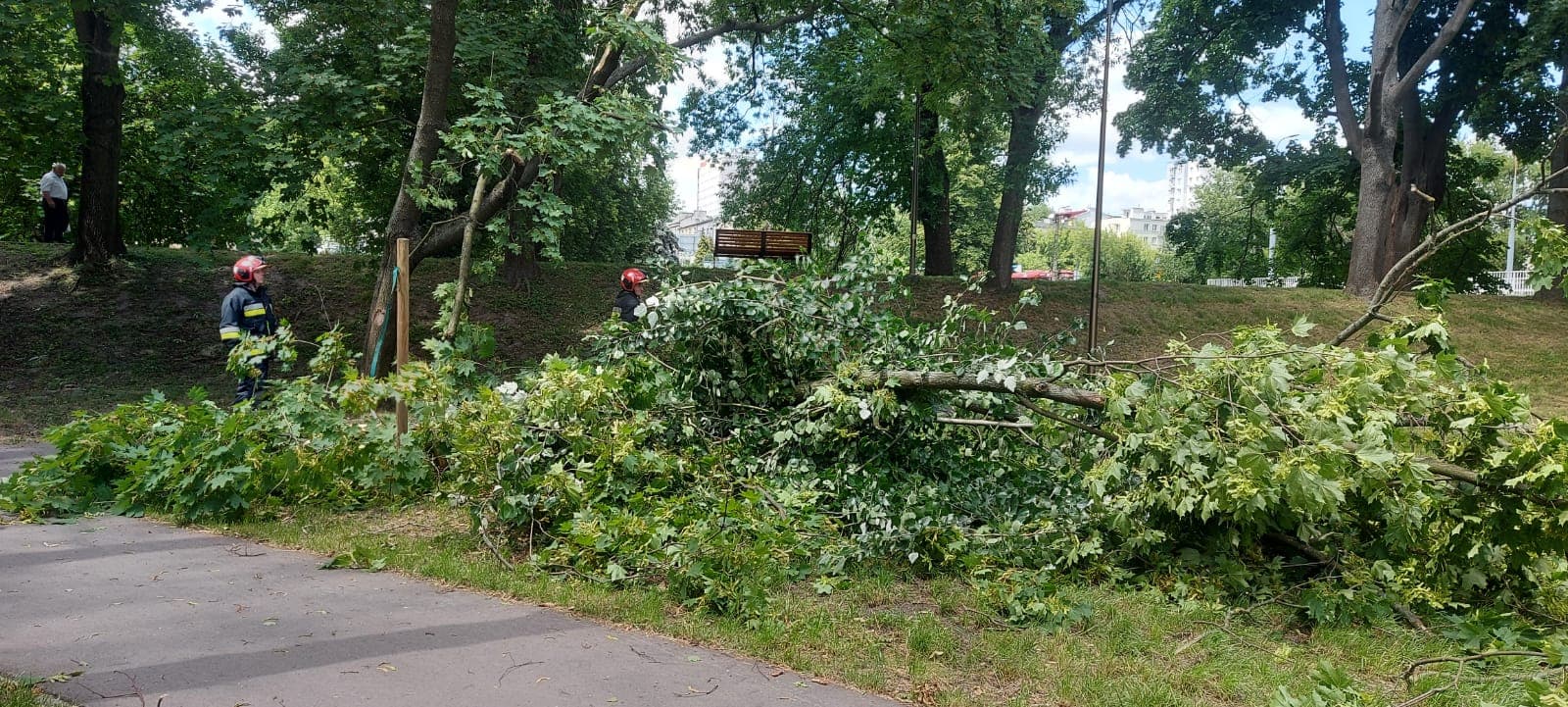 Groźne zdarzenie w Parku Ludowym. Spory konar runął obok spacerowiczów (zdjęcia, wideo)