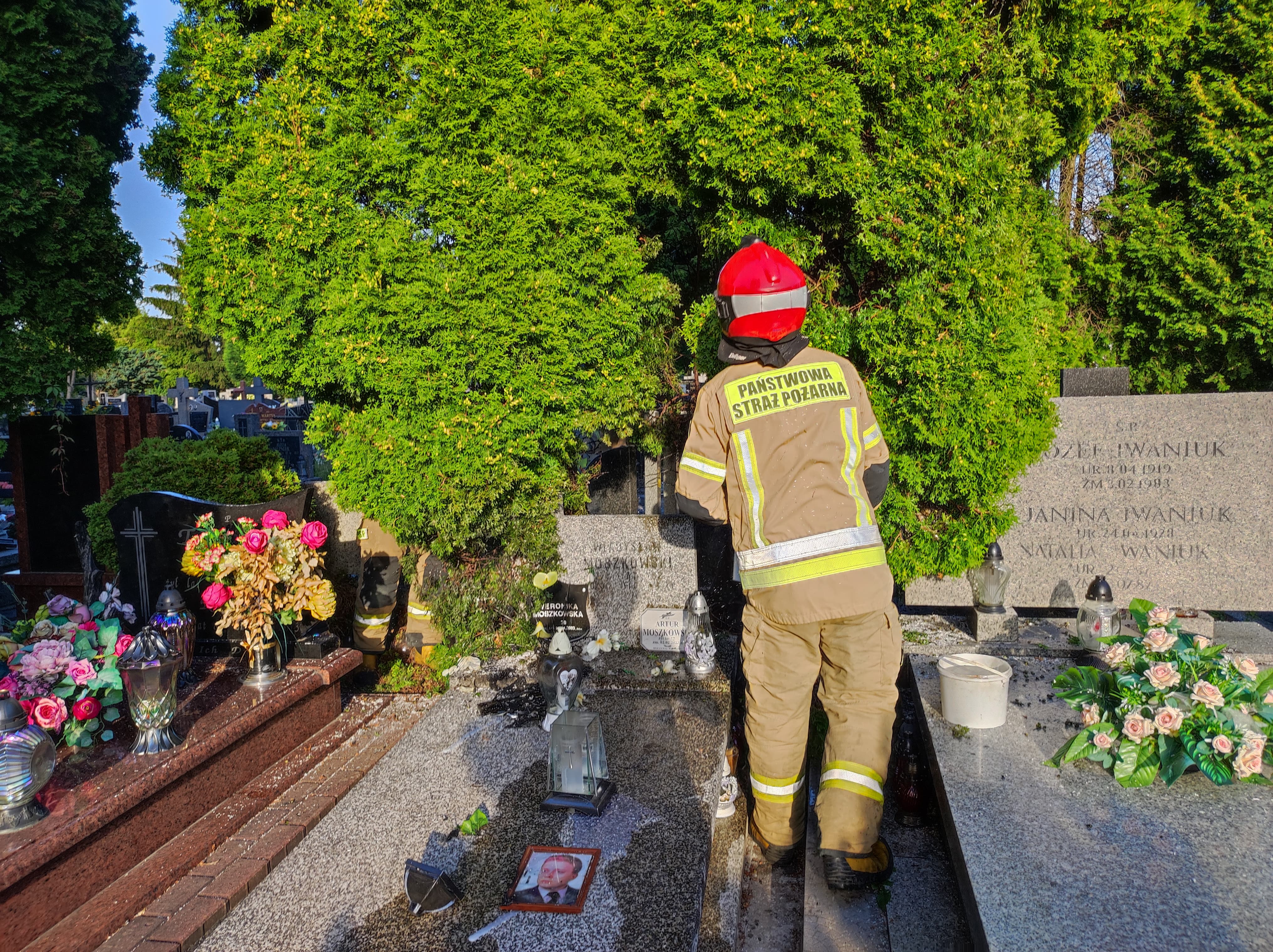Pożar na cmentarzu na Majdanku. Świadkowie ruszyli z wiadrami z wodą (zdjęcia)