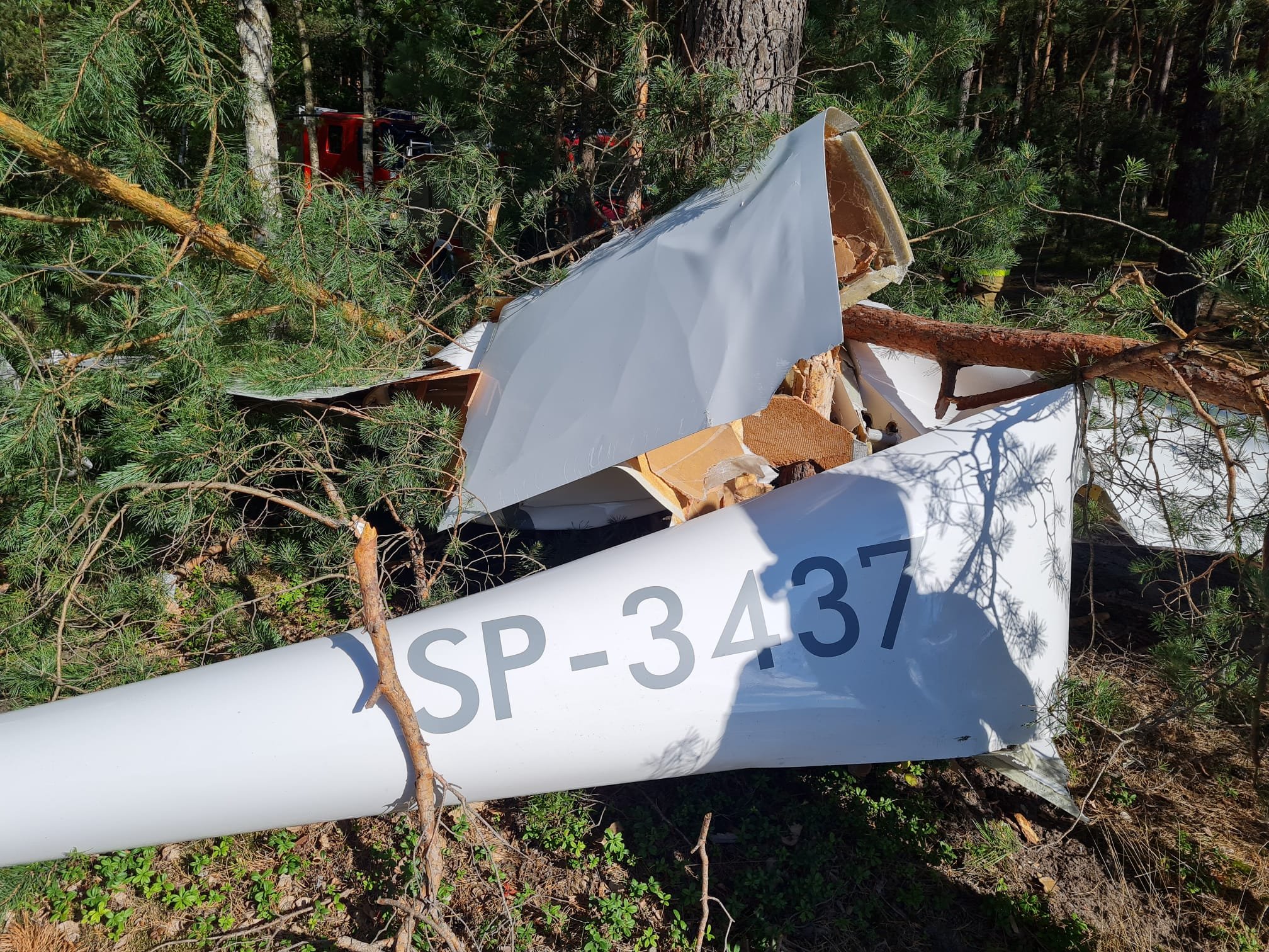 Wypadek szybowca. Pilot zdecydował się na awaryjne lądowanie, maszyna rozbiła się o drzewa (zdjęcia)