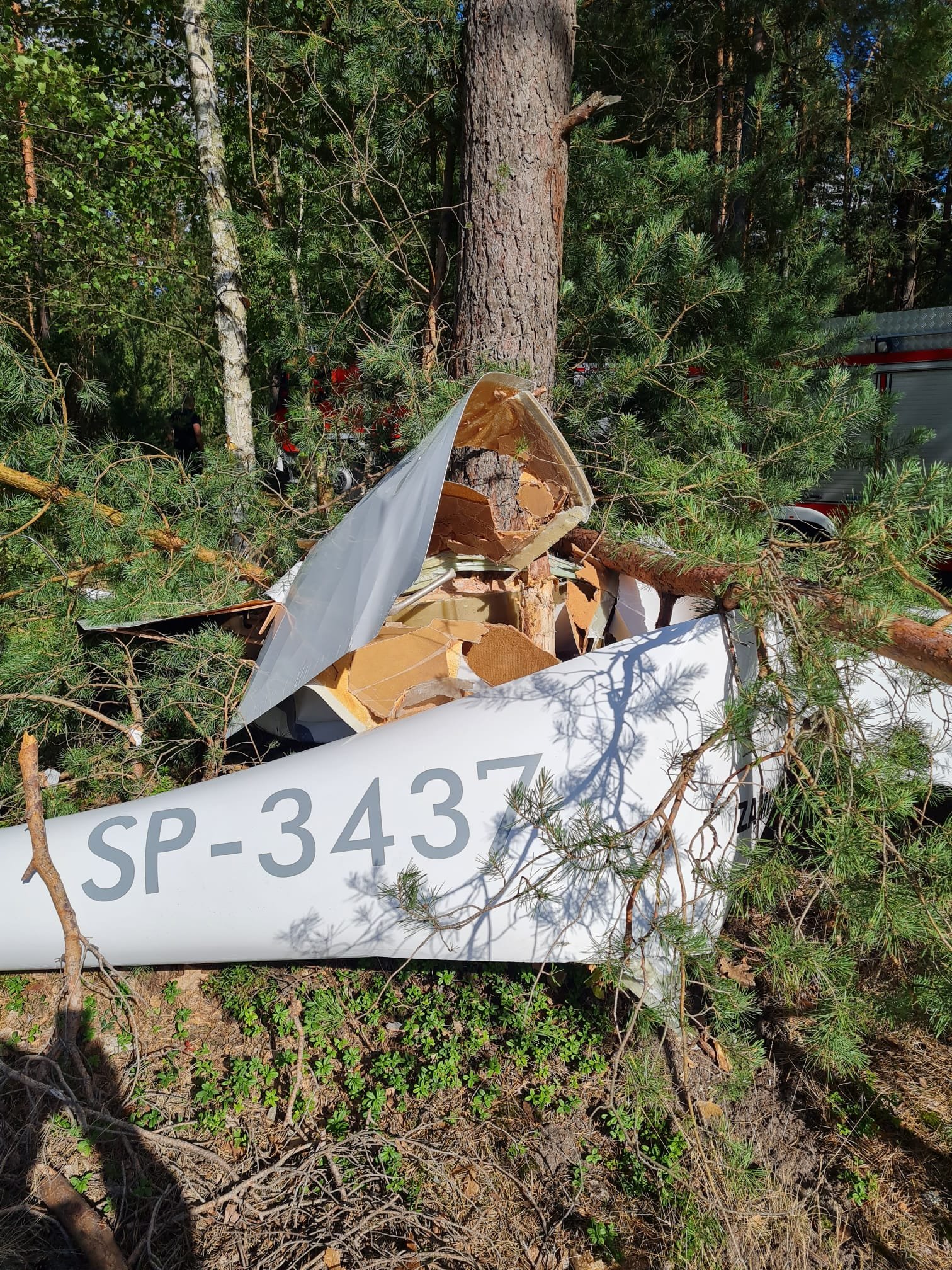 Wypadek szybowca. Pilot zdecydował się na awaryjne lądowanie, maszyna rozbiła się o drzewa (zdjęcia)