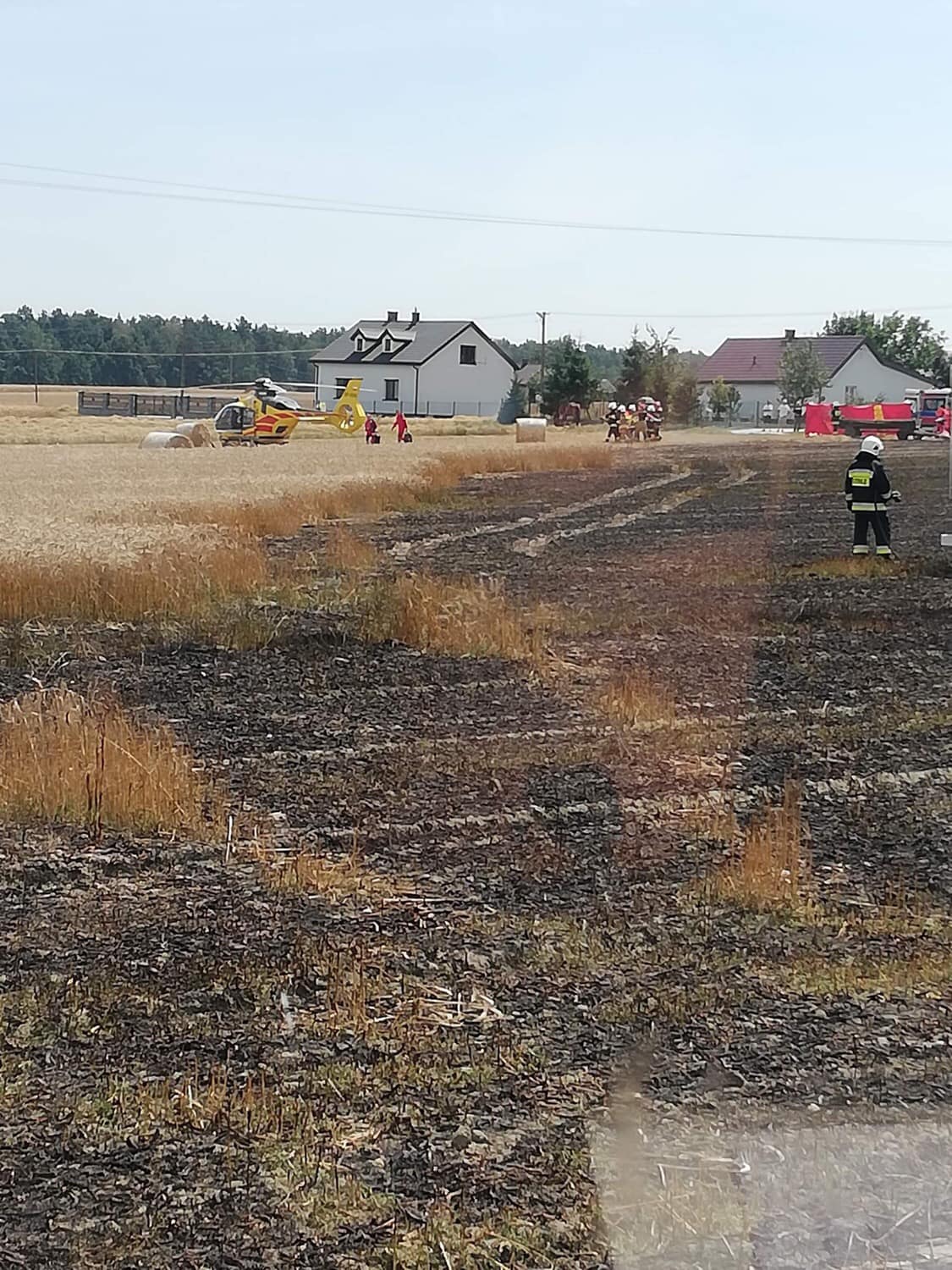 Zboże na pniu stanęło w płomieniach. Usiłowali ratować plony, trafili do szpitala (foto)