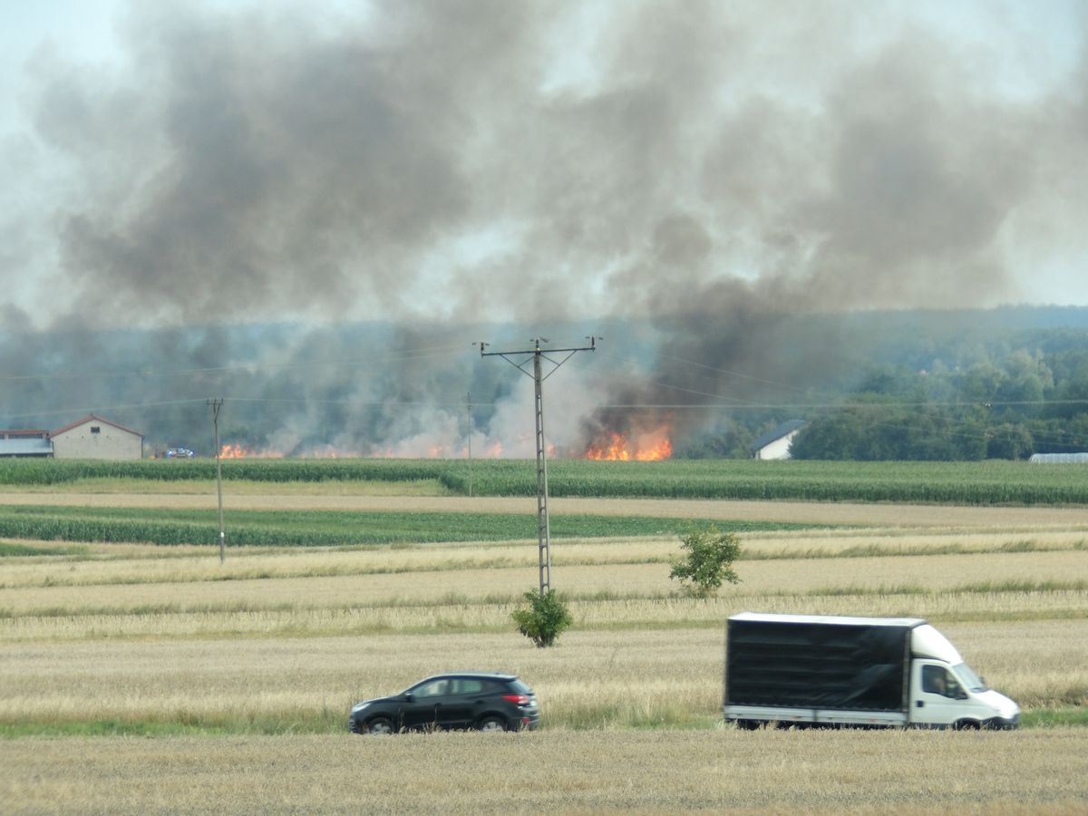 Niebawem mieli zbierać plony, pojawił się ogień. Płoną też maszyny rolnicze (zdjęcia)