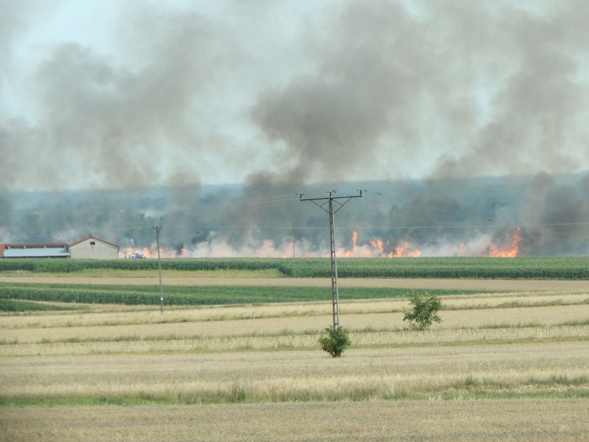 Niebawem mieli zbierać plony, pojawił się ogień. Płoną też maszyny rolnicze (zdjęcia)