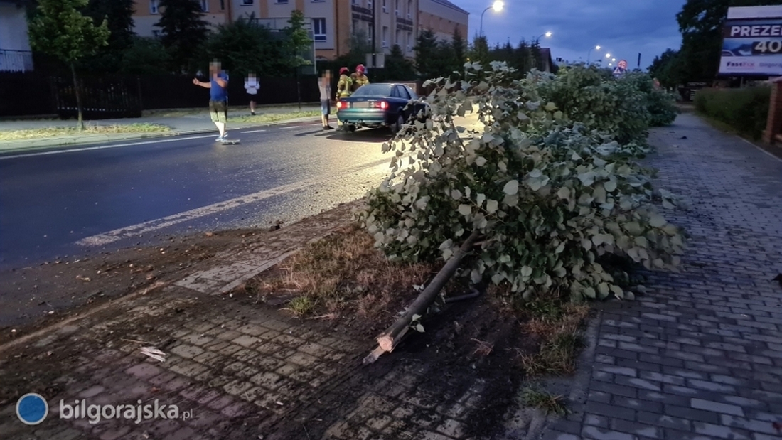 Po zderzeniu z audi, BMW wypadło z drogi i ścięło trzy drzewa (wideo)