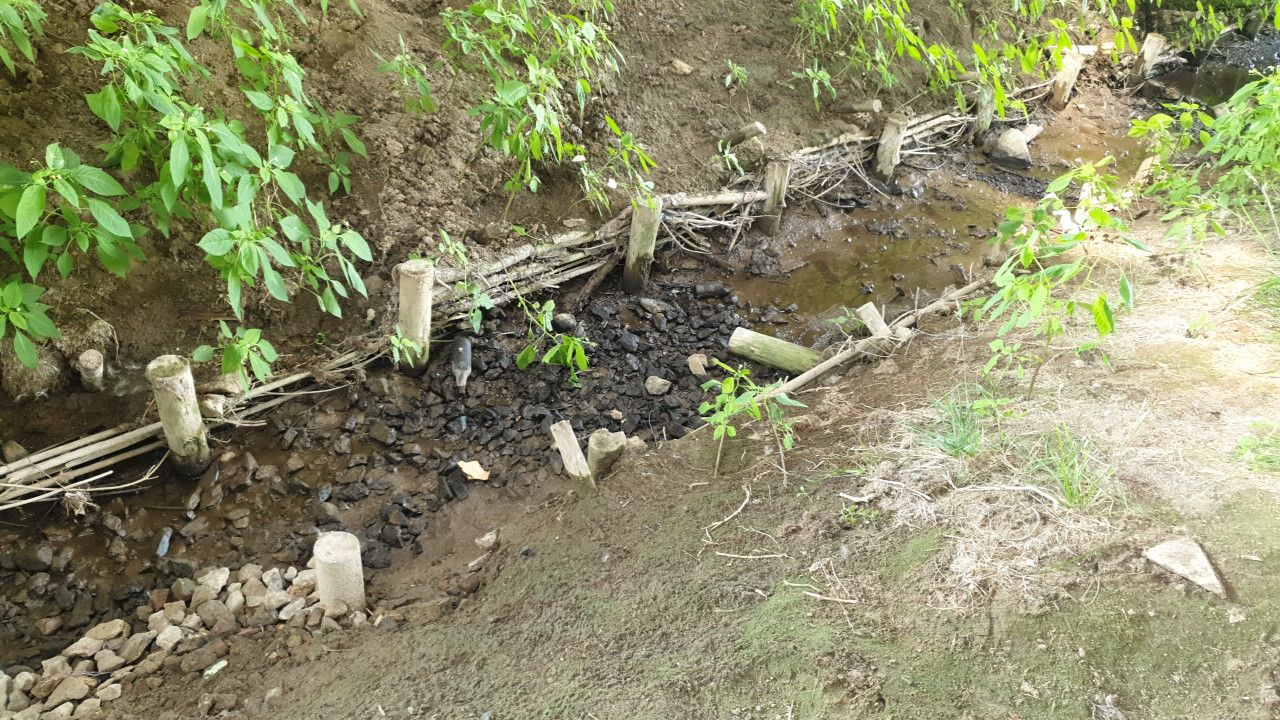 Wysycha jedna z lubelskich rzek. Po Czechówce zostało jedynie puste koryto (zdjęcia, wideo)
