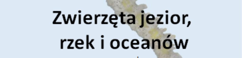 Kolejny dożynkowy weekend na Lubelszczyźnie. Nie zabraknie też innych imprez