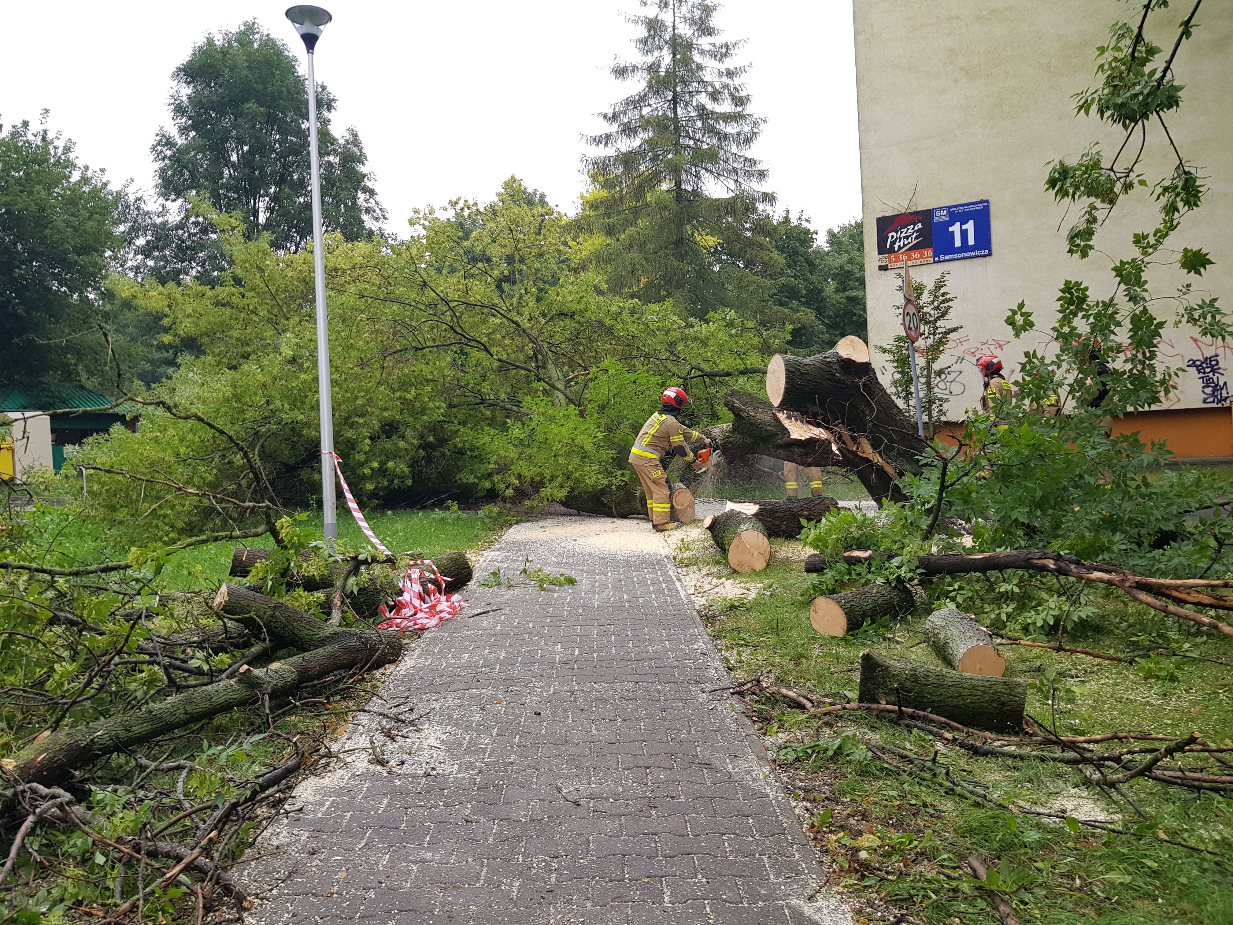 Sporych rozmiarów drzewo runęło na osiedlową alejkę. Interweniowali strażacy (zdjęcia)