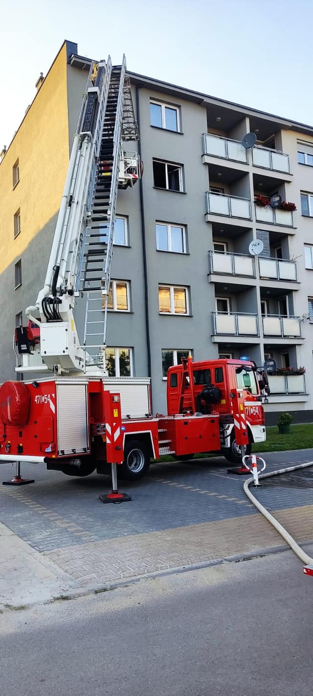 Pożar mieszkania w budynku wielorodzinnym. Strażacy ewakuowali kota (zdjęcia)