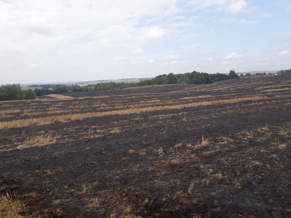 Sześć zastępów straży pożarnej w akcji. Spłonęło około 30 hektarów ścierniska (zdjęcia)