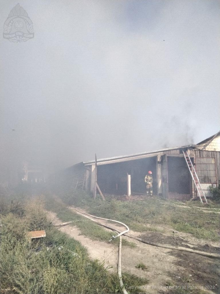 Dym był widoczny z wielu kilometrów. Spłonęła obora z bydłem, budynki gospodarcze i maszyny rolnicze (zdjęcia)