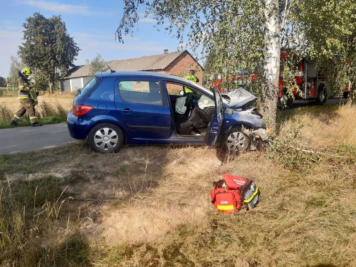 Peugeot zatrzymał się na drzewie, citroen dachował w sadzie. Trzy osoby, w tym dziecko, trafiły do szpitala (zdjęcia)