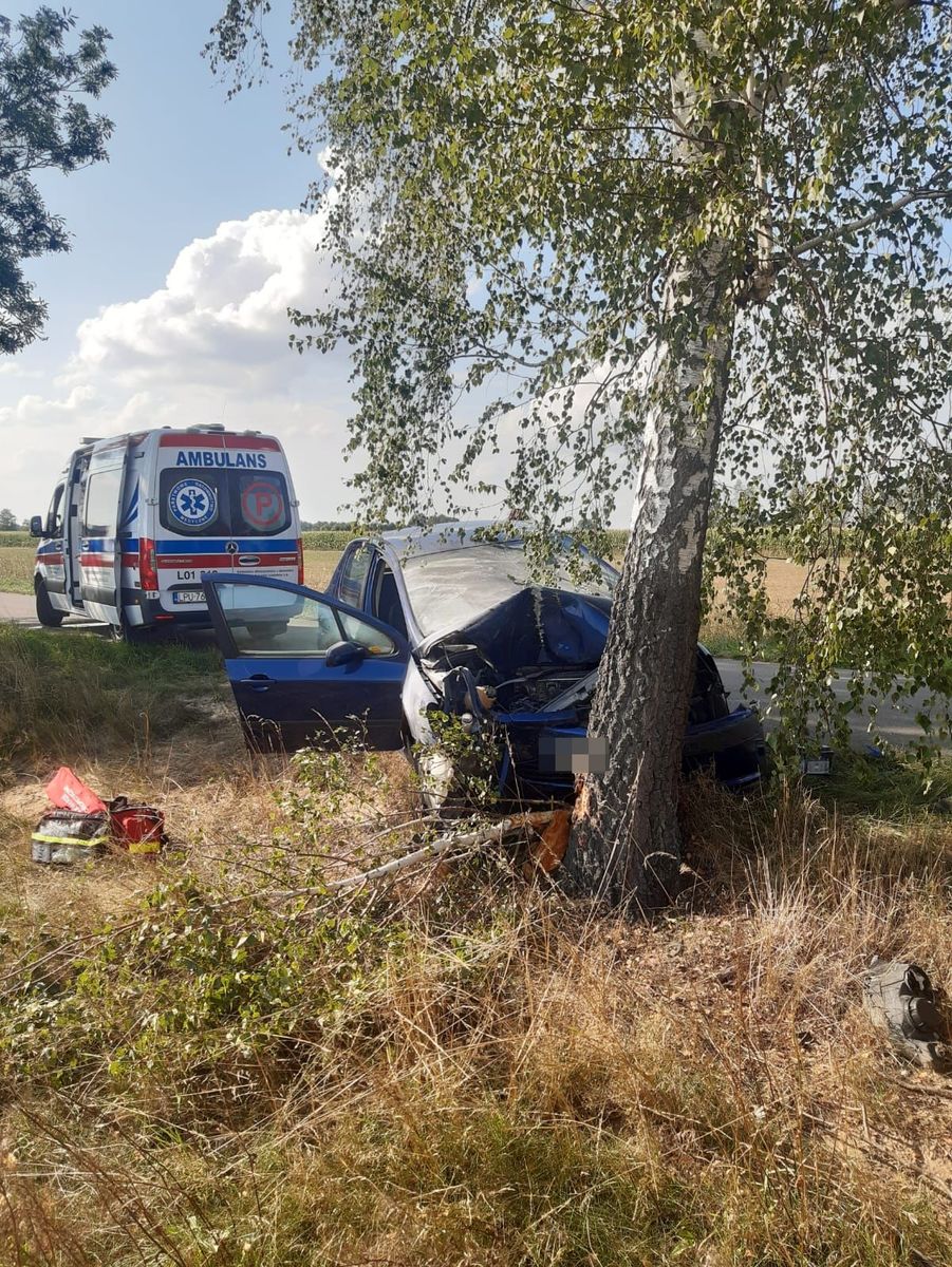 Peugeot zatrzymał się na drzewie, citroen dachował w sadzie. Trzy osoby, w tym dziecko, trafiły do szpitala (zdjęcia)