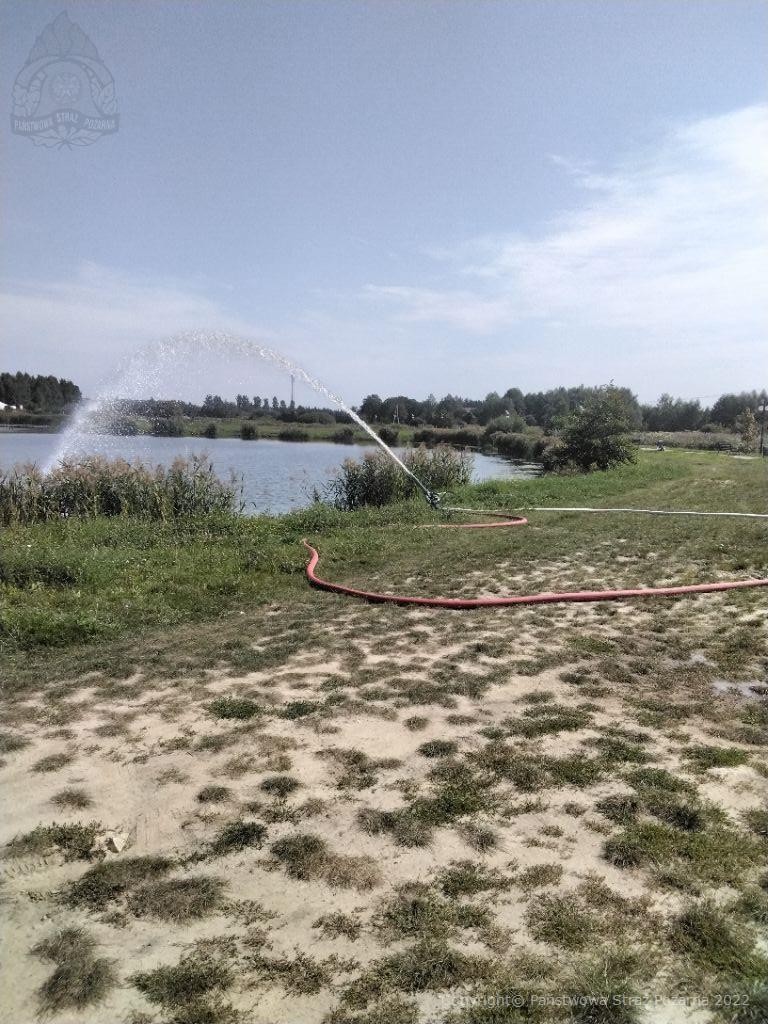 Z powodu przyduchy padają ryby w radzyńskim zalewie. Na pomoc ruszyli strażacy (zdjęcia)