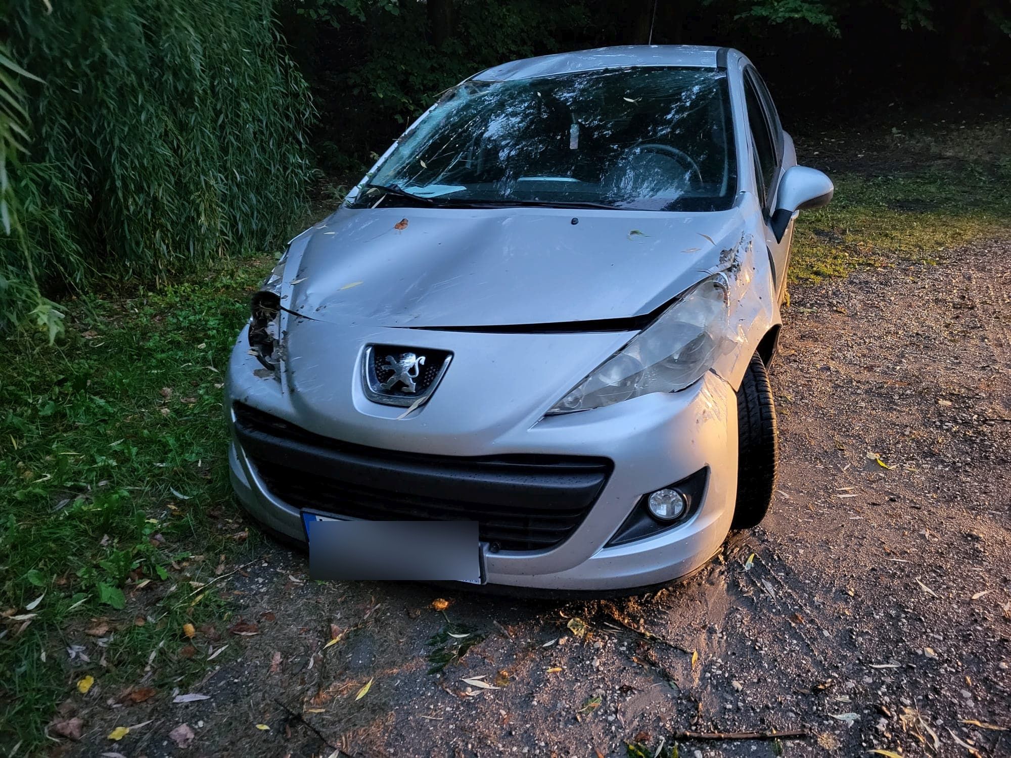 Peugeot wypadł z drogi i dachował. Kierowca trafił do szpitala (zdjęcia)