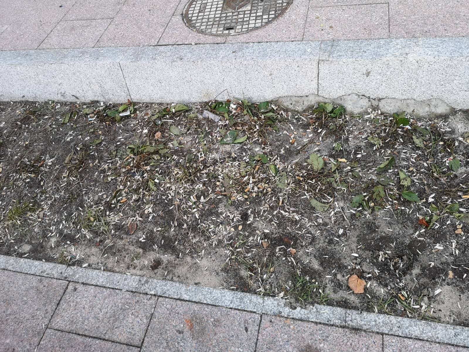 Wandale niszczą ławki i śmietniki. Burmistrz apeluje: „Dbajmy o wspólne dobro” (zdjęcia)