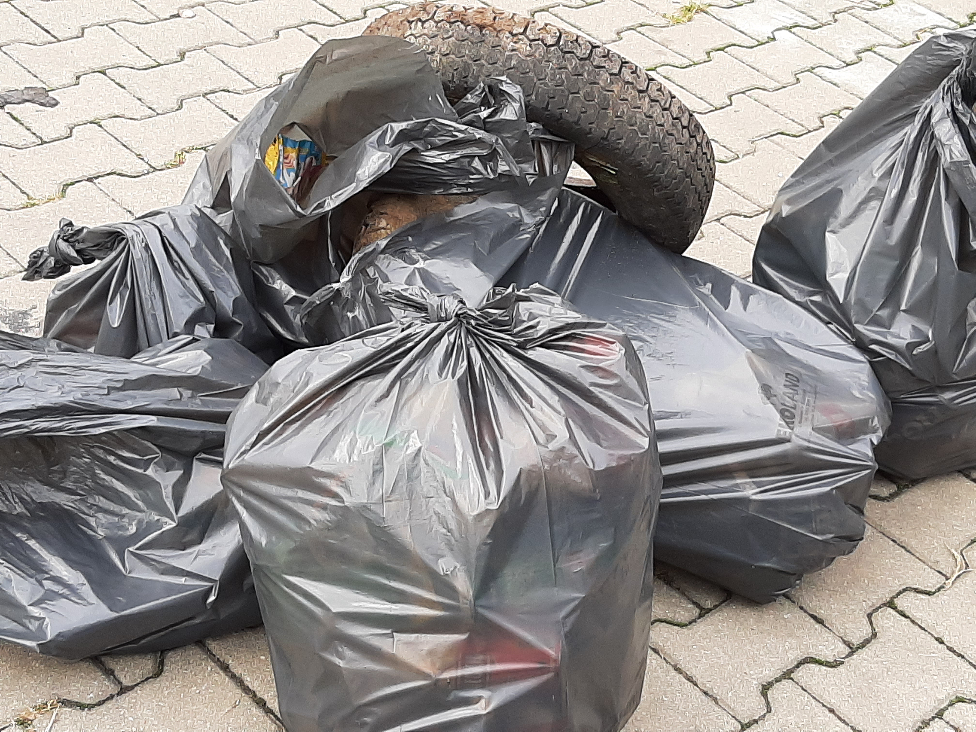 Dzisiaj odbyło się wspólne sprzątanie Czechówki w ramach akcji „Wody to nie śmietnik” (zdjęcia)
