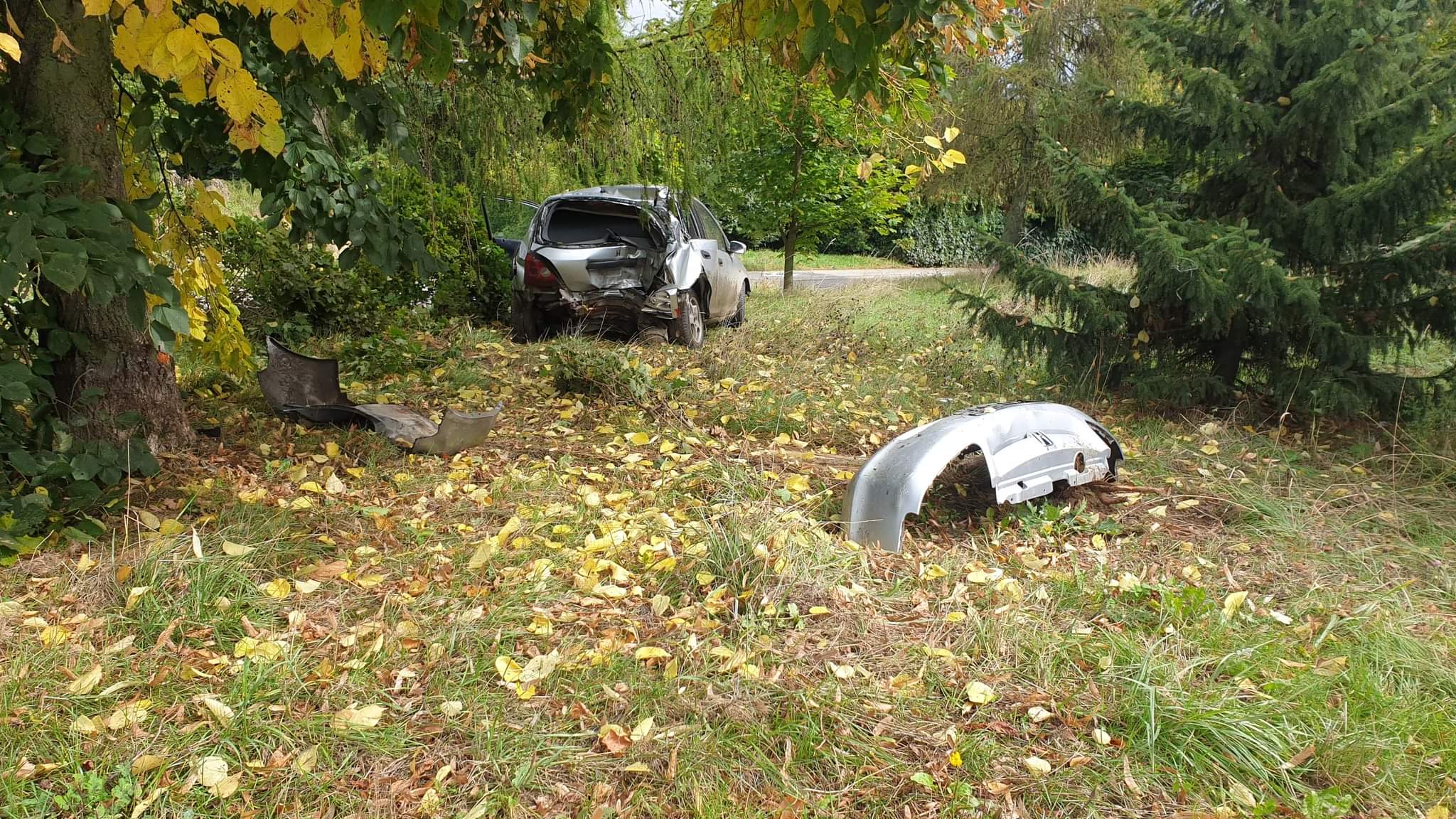 Honda wypadła z drogi, dachowała i uderzyła w drzewo. Trwają poszukiwania kierowcy (zdjęcia)
