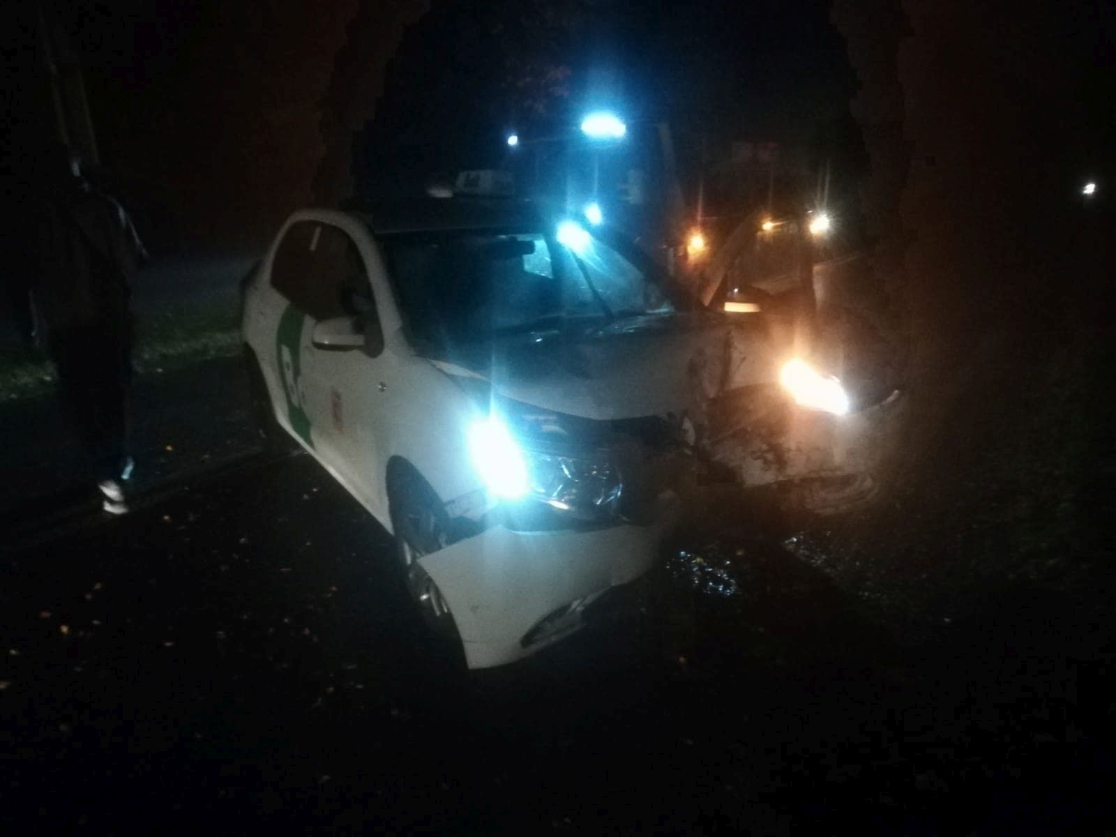 Dacia uderzyła w drzewo. Na szczęście nikt nie ucierpiał (zdjęcia)