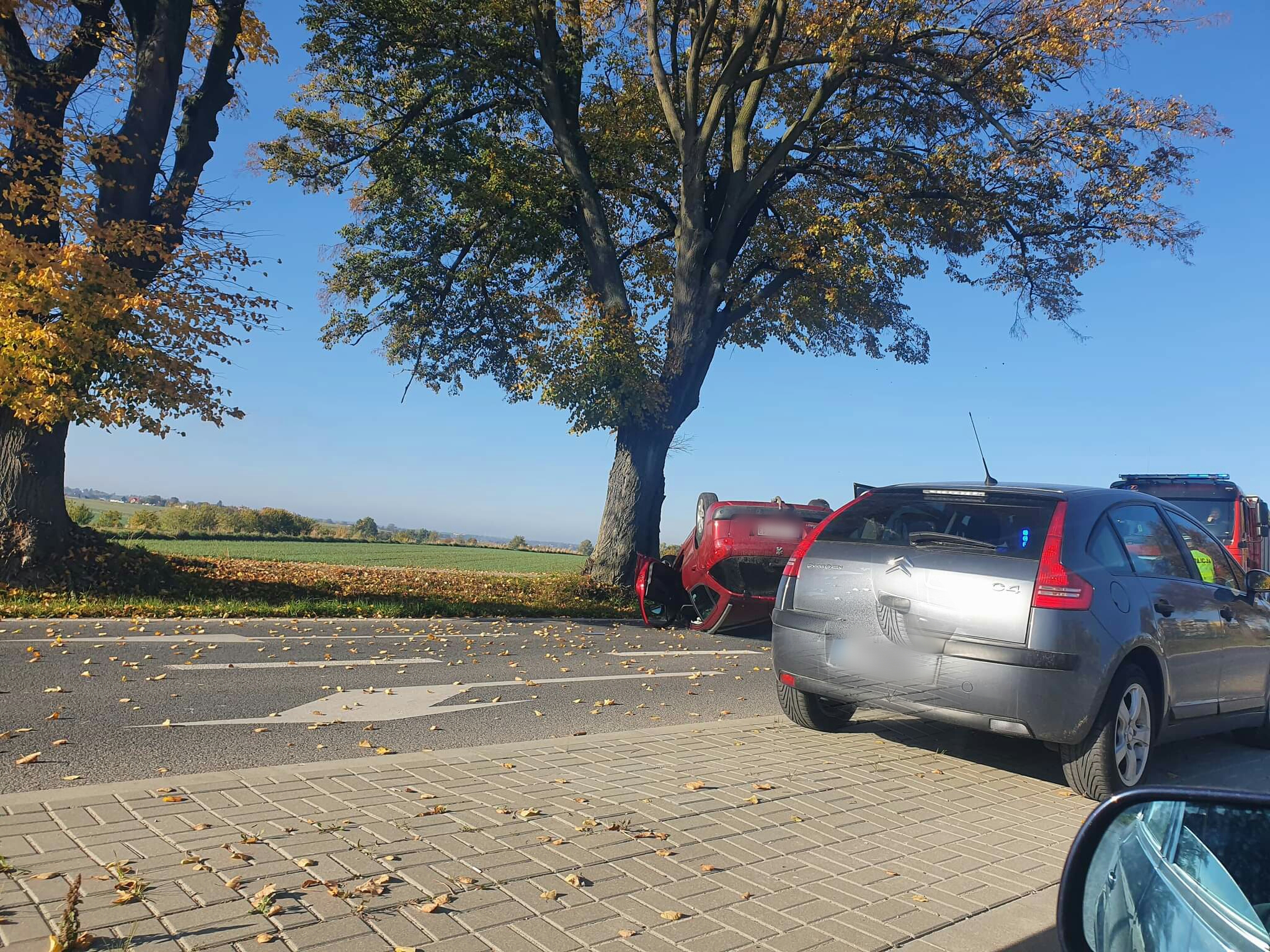 Źle poczuł się za kierownicą. Peugeot zjechał z jezdni, uderzył w drzewo i dachował (zdjęcia)