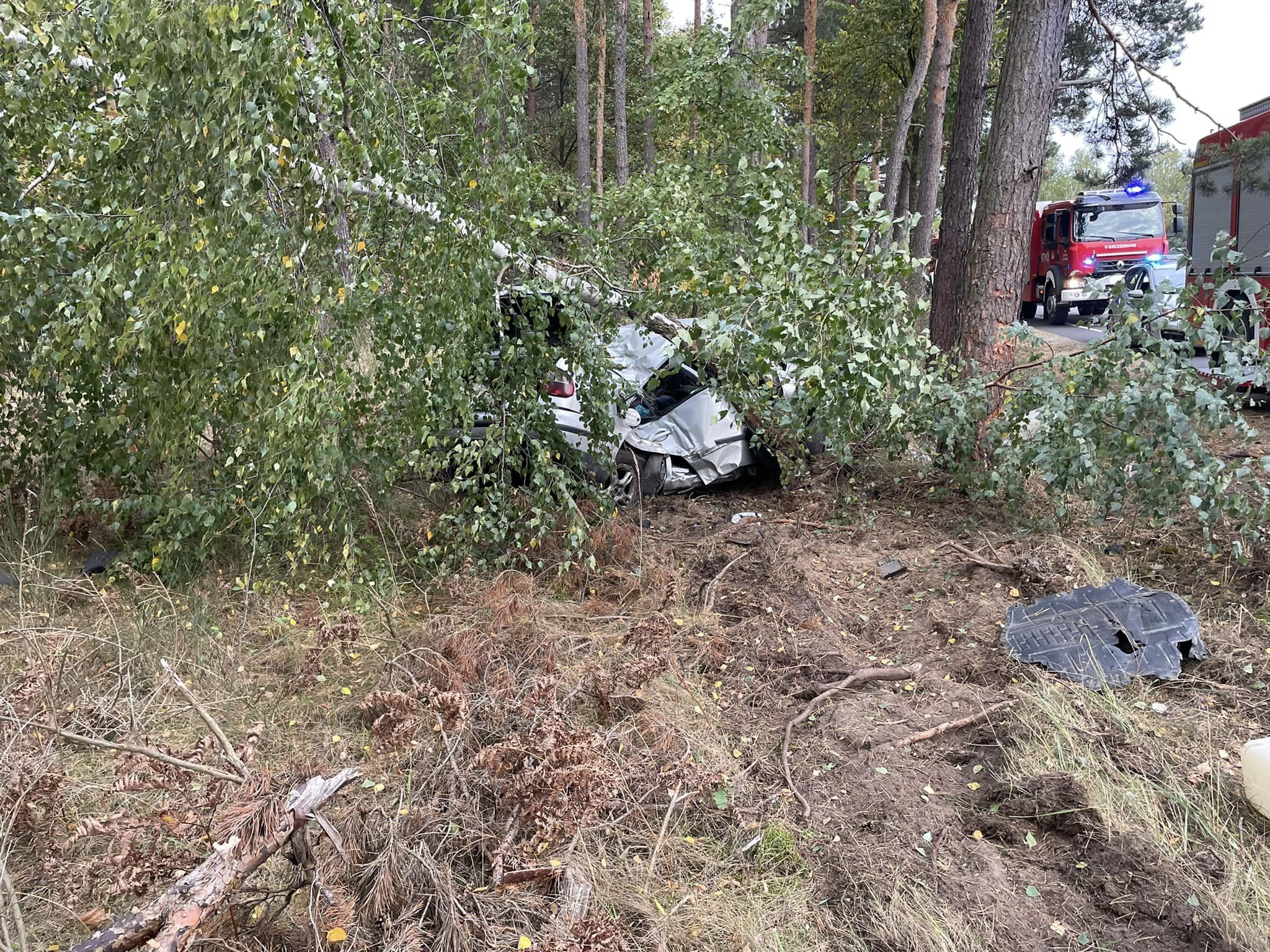 Seat uderzył w drzewo, kierowca zginął na miejscu (zdjęcia)