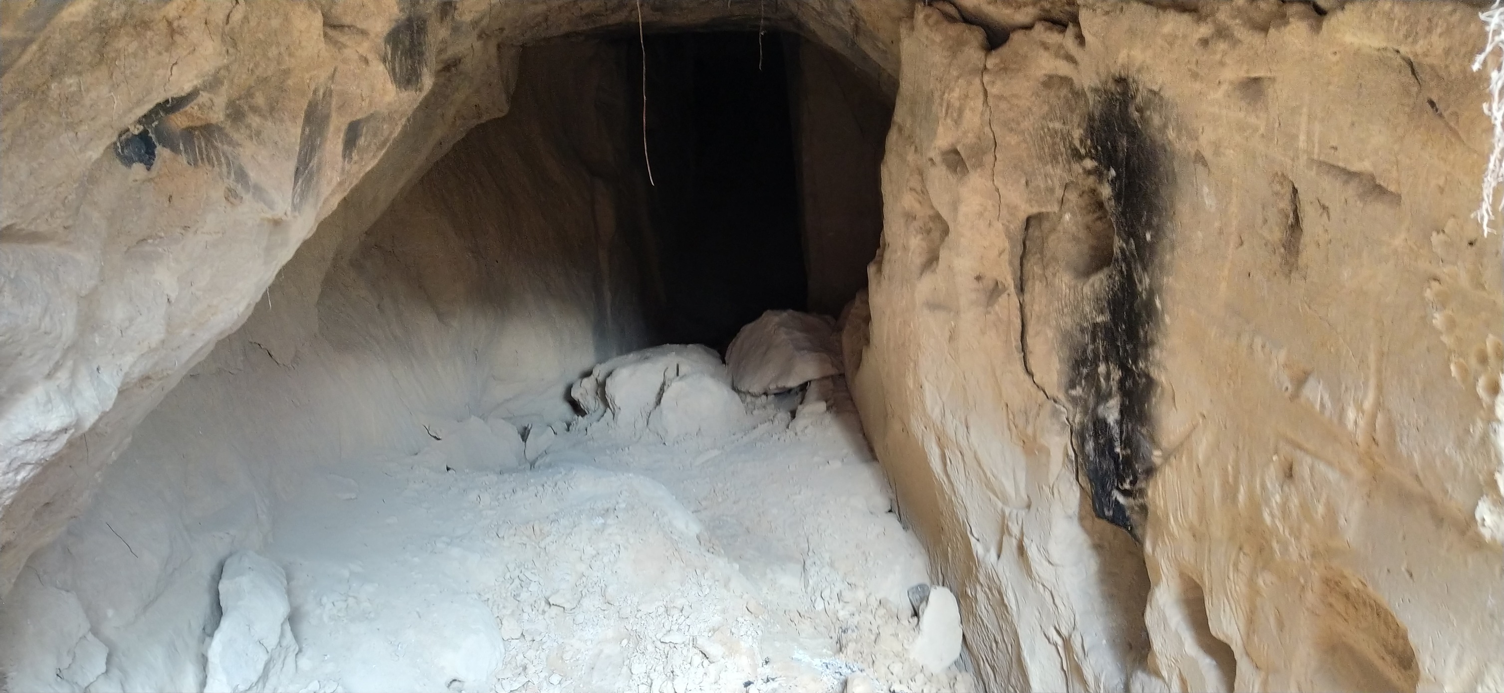 Sensacyjne odkrycie przy wieży zamkowej w Szczebrzeszynie. Dokąd prowadzi tunel ziemny? (zdjęcia)