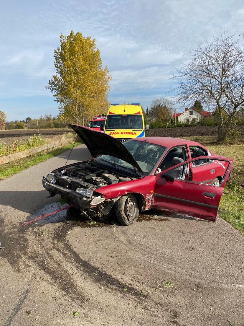 Podróż zakończyli w przydrożnym rowie (zdjęcia)