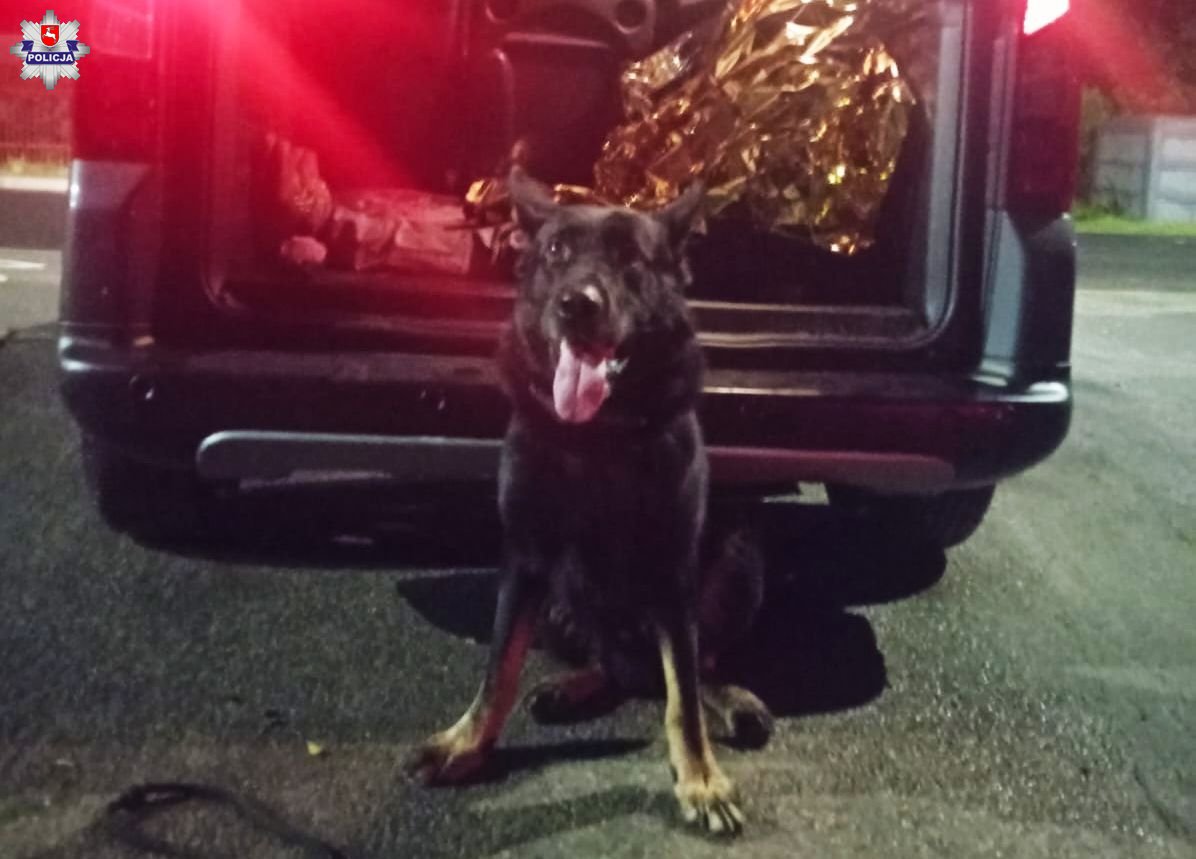 Pies policyjny na medal. Znalazł zaginionego 55-latka (zdjęcia)