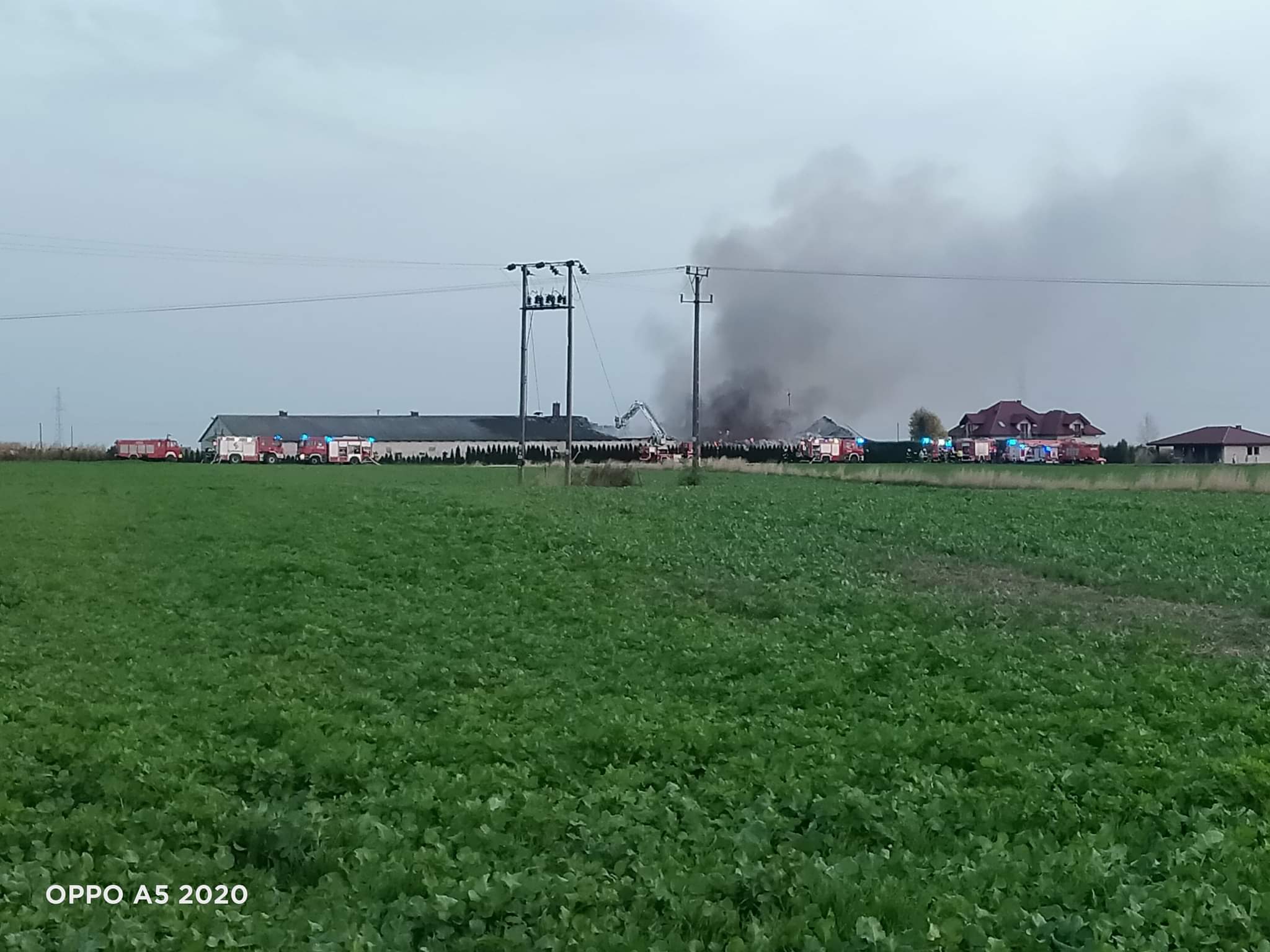Kilkudziesięciu strażaków walczy z pożarem kurnika. Ogień widoczny był z kilku kilometrów (zdjęcia)