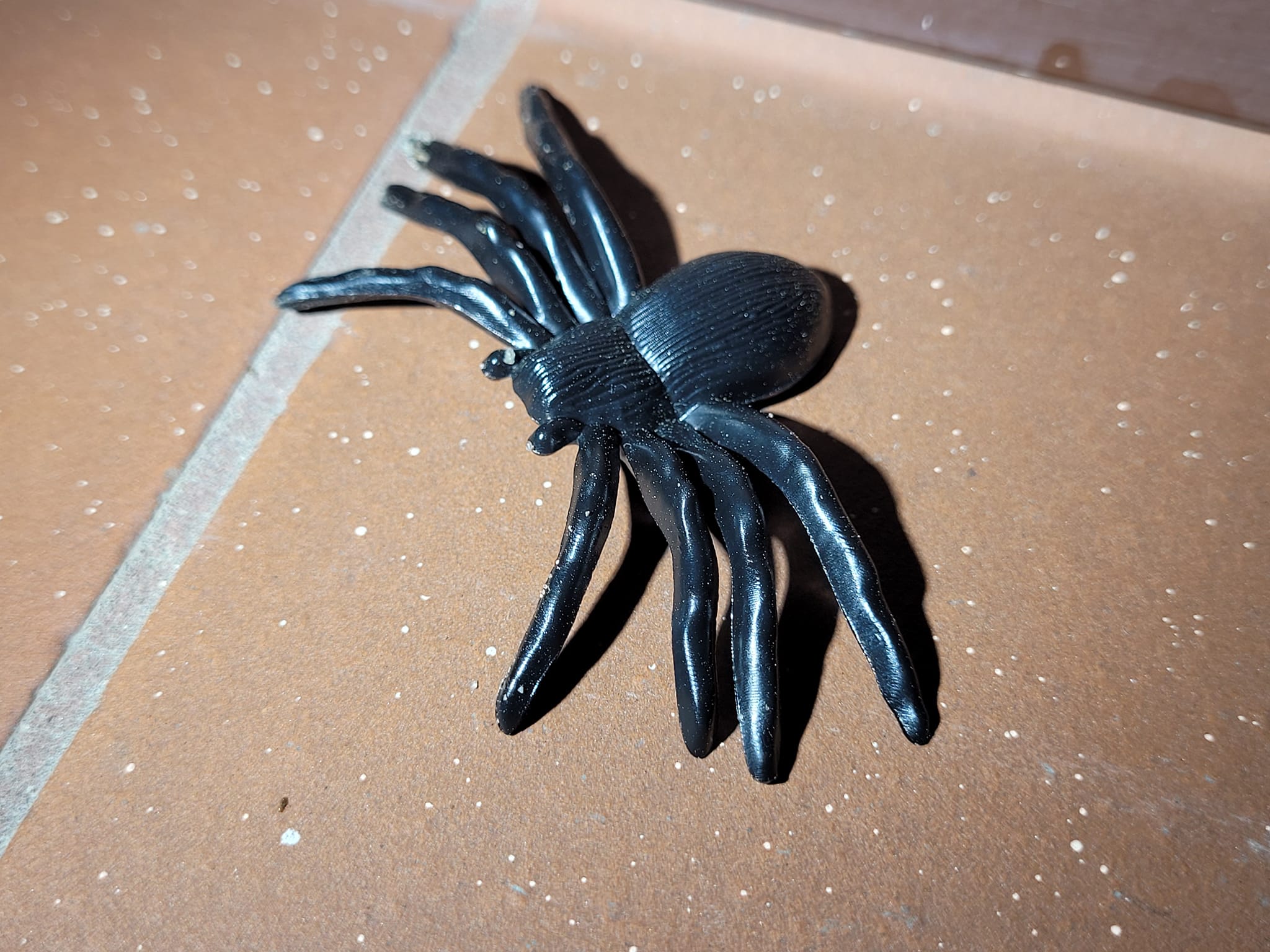 Wielki, włochaty i groźny pająk przeraził mieszkankę Lublina. Ptasznik okazał się plastikową zabawką (zdjęcia)