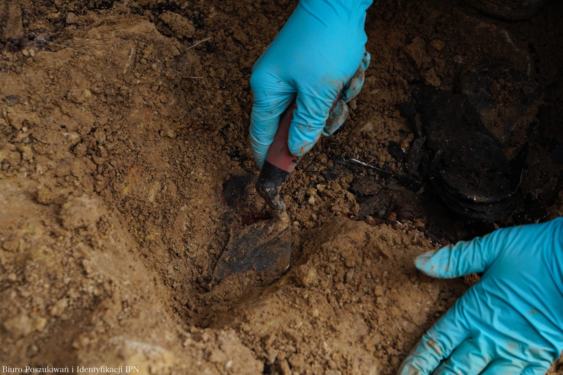 Na górkach czechowskich znaleziono ludzkie kości. Są to szczątki trzech osób (zdjęcia)