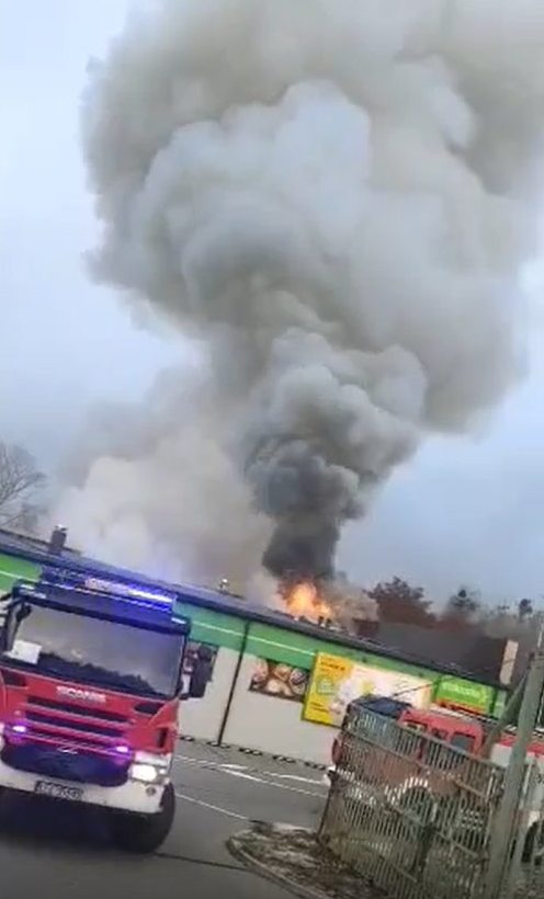 Strażacy walczą z pożarem Stokrotki w Puchaczowie (wideo)