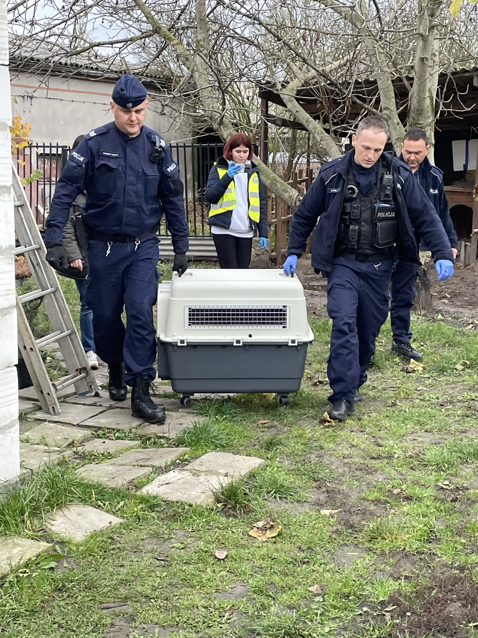 W asyście policjantów z jednej z posesji w Lublinie zabrano skrajnie zaniedbanego psa (wideo, zdjęcia)