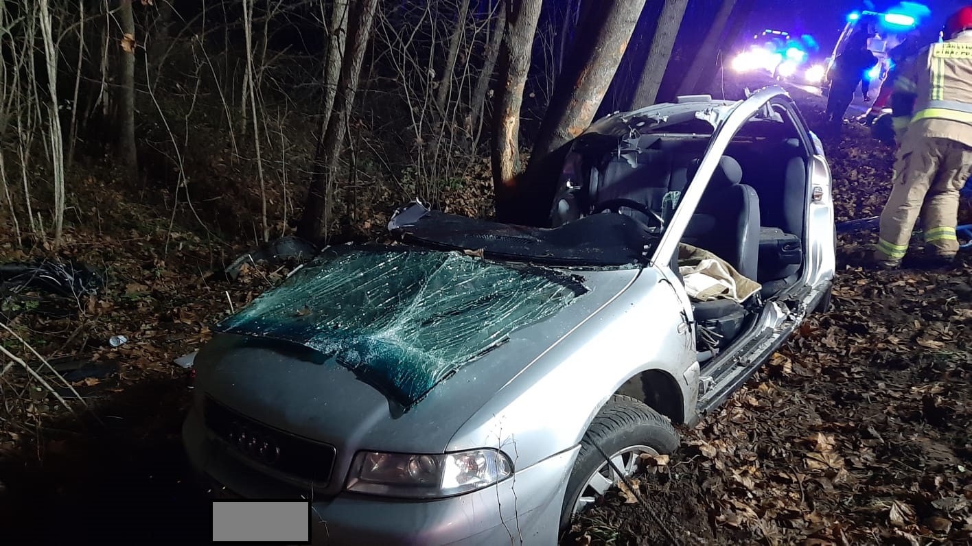 Audi uderzyło w drzewo. Nie żyje 13-latka, 18-latek z poważnymi obrażeniami (zdjęcia)