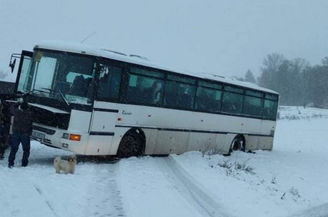 Autobus szkolny wypadł z drogi. W rejonie zdarzenia nie ma przejazdu (zdjęcia)