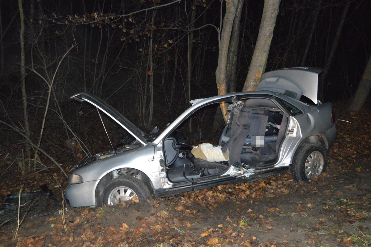 Audi uderzyło w drzewo. Nie żyje 13-latka, 18-latek z poważnymi obrażeniami (zdjęcia)