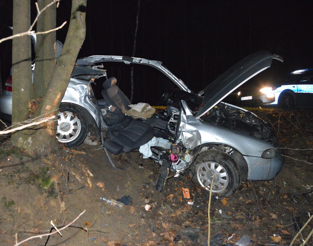 Audi uderzyło w drzewo. Nie żyje 13-latka, 18-latek z poważnymi obrażeniami (zdjęcia)