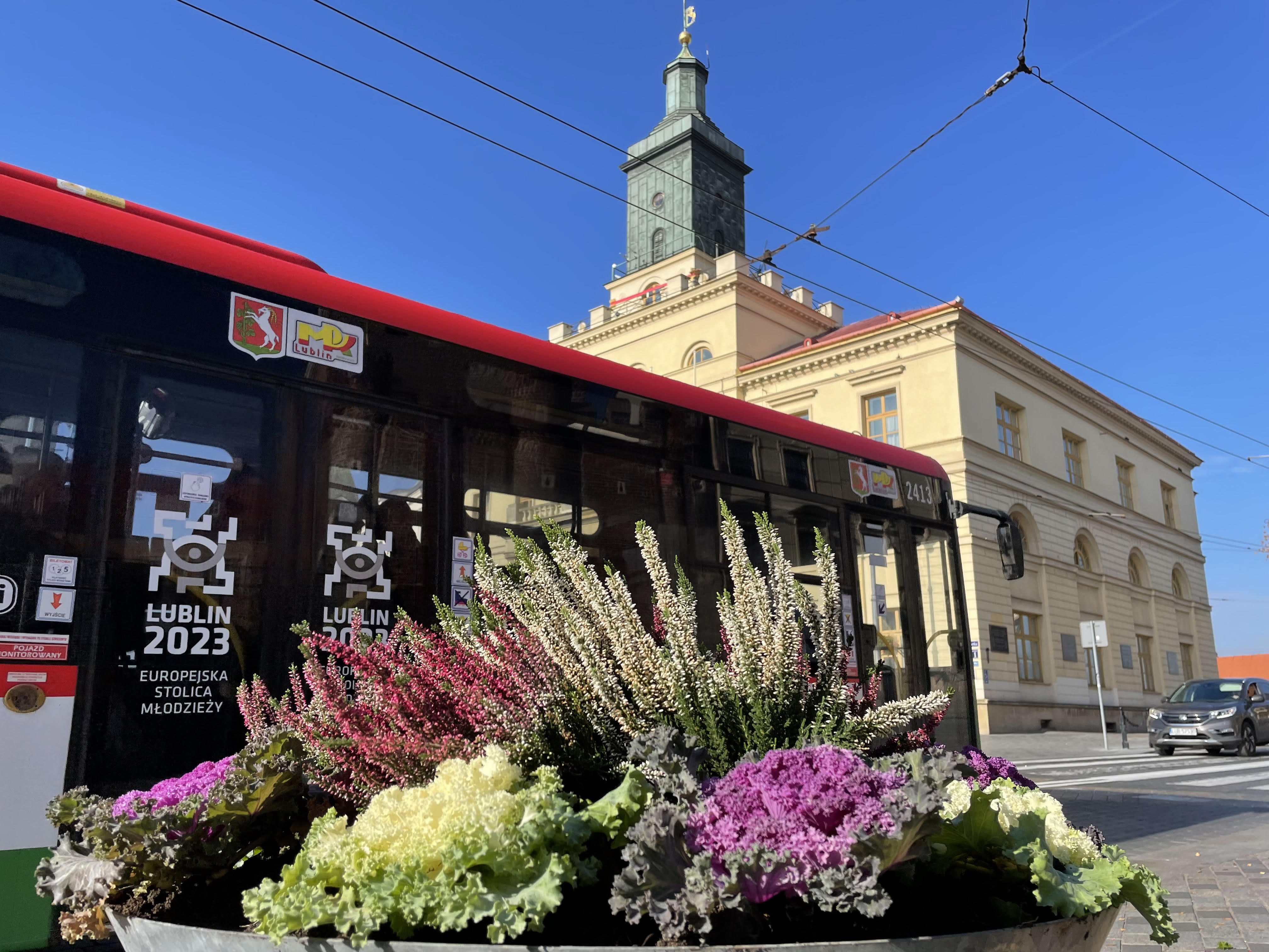 Lublin z nową, jesienną dekoracją. Kwiaty pozostaną na zimę (zdjęcia)