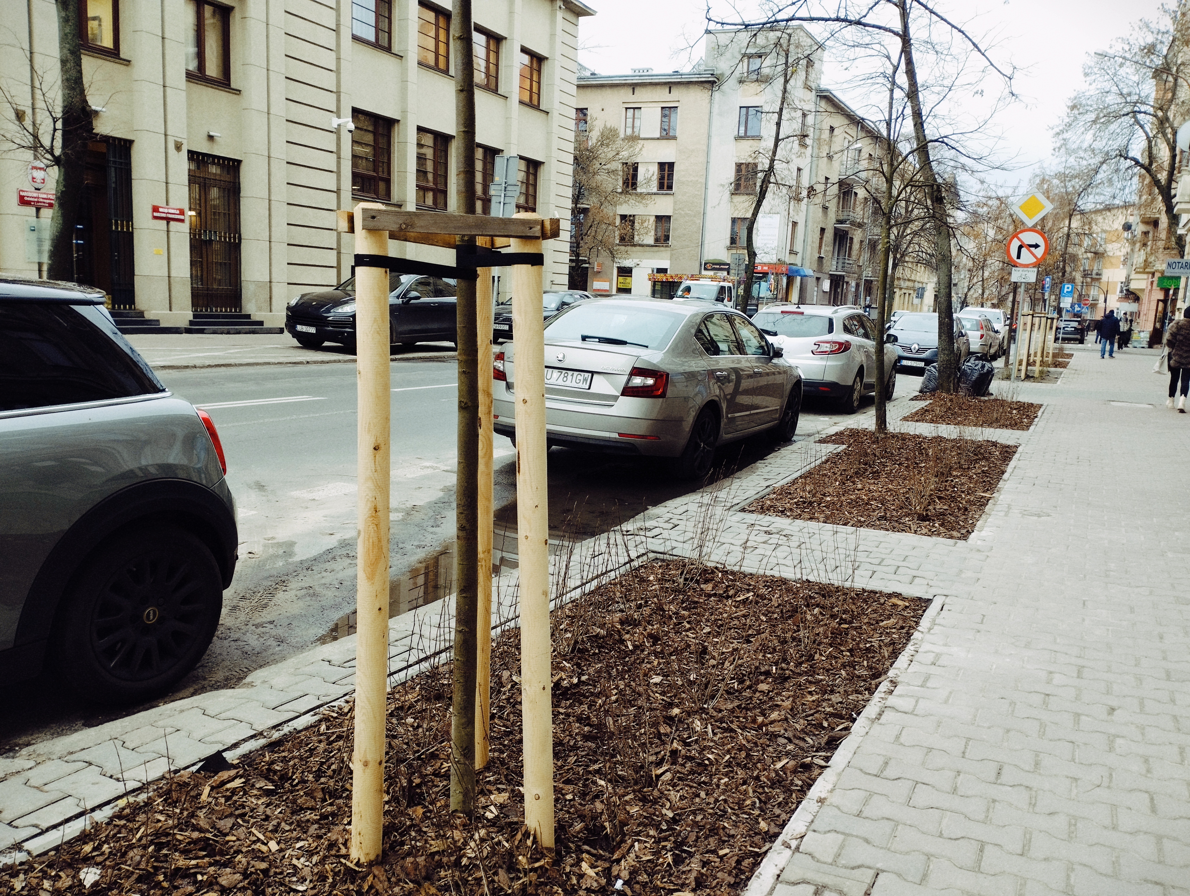 Więcej zieleni na ulicach Lublina. Miasto chwali się zmianami (zdjęcia)